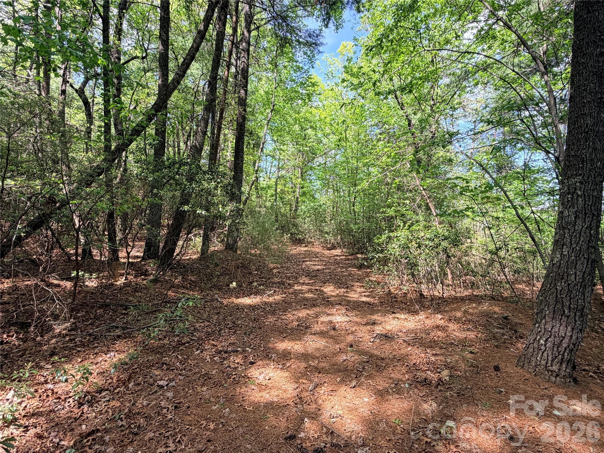 Lot at TBD Staghorn Road, Purlear, photo 10 of 47