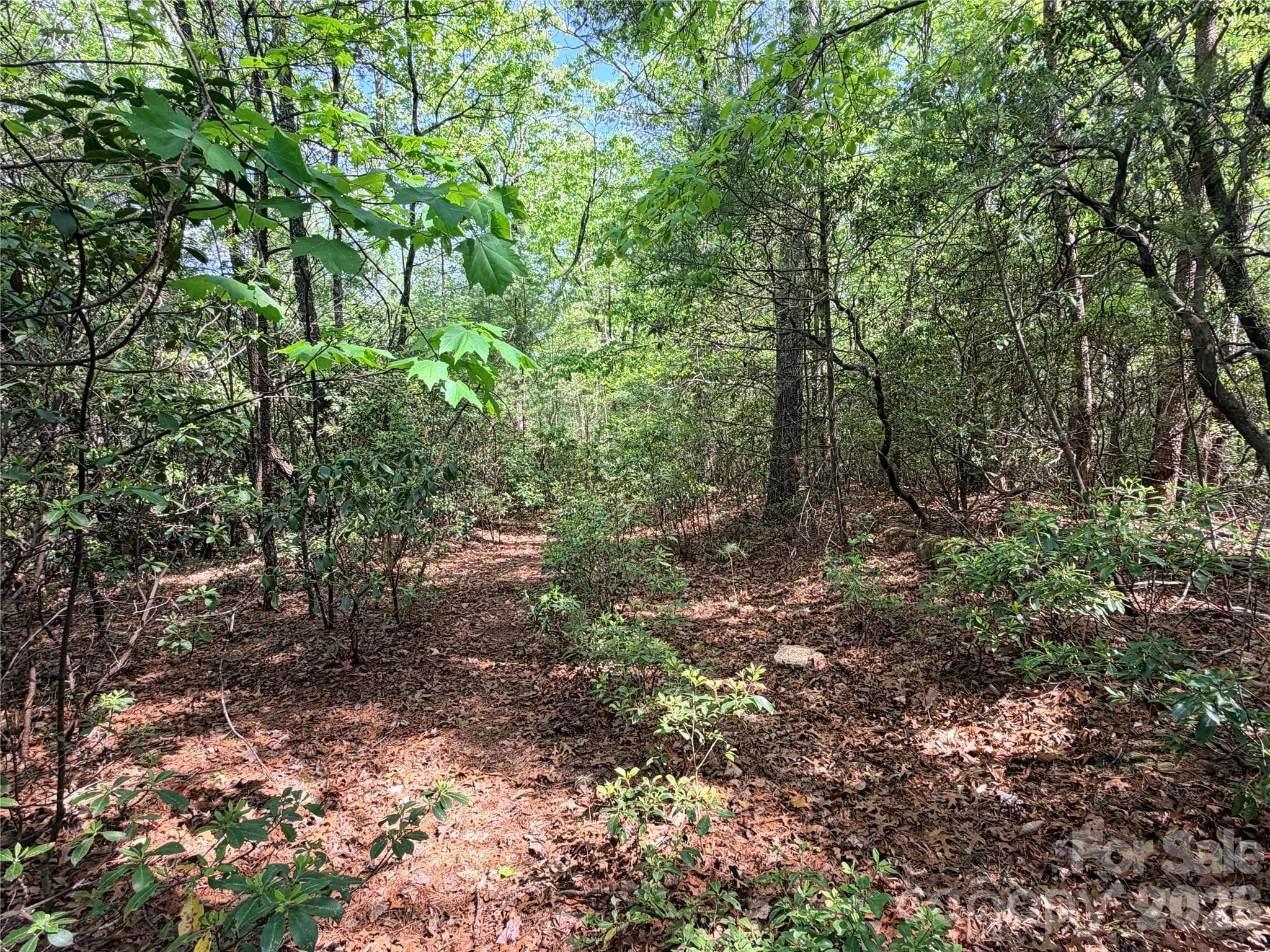 Lot at TBD Staghorn Road, Purlear, photo 11 of 47