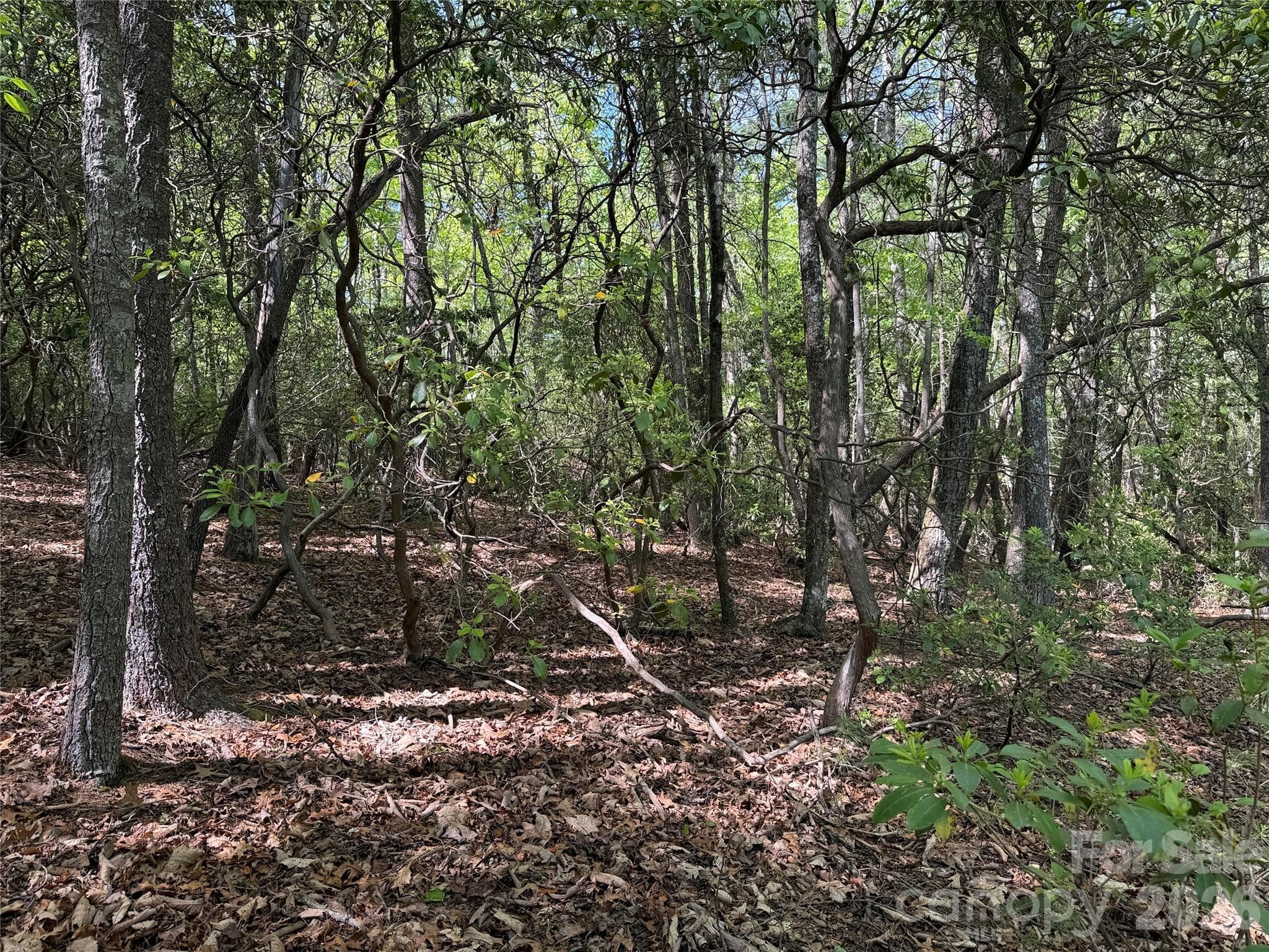 Lot at TBD Staghorn Road, Purlear, photo 12 of 47