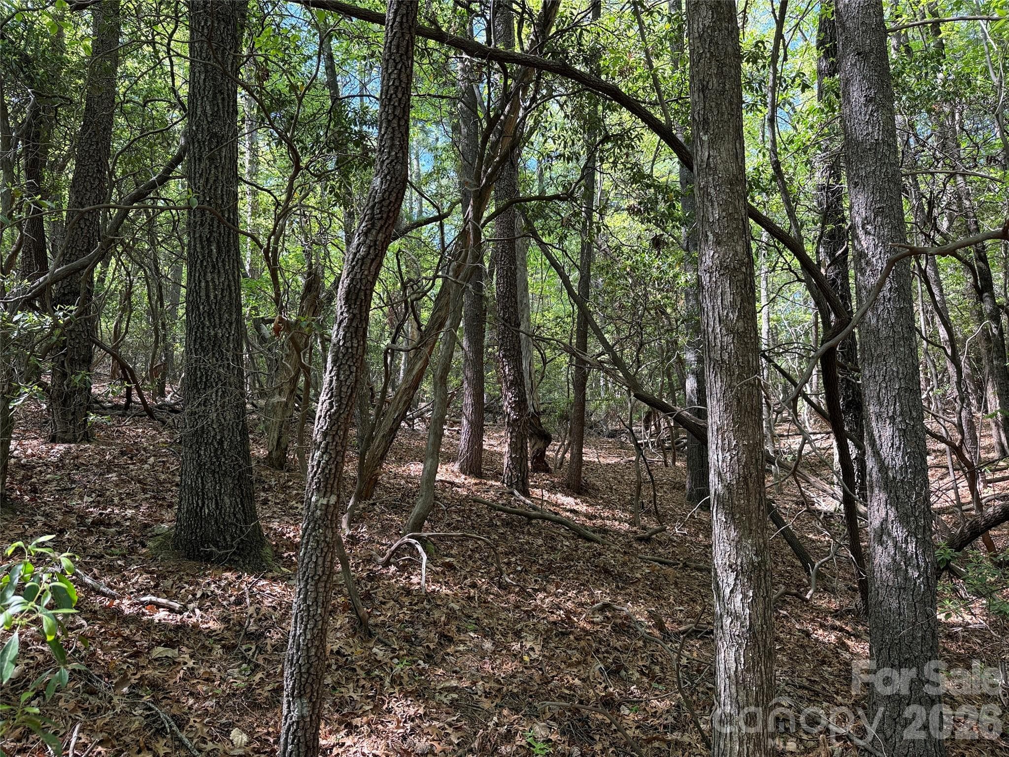 Lot at TBD Staghorn Road, Purlear, photo 13 of 47