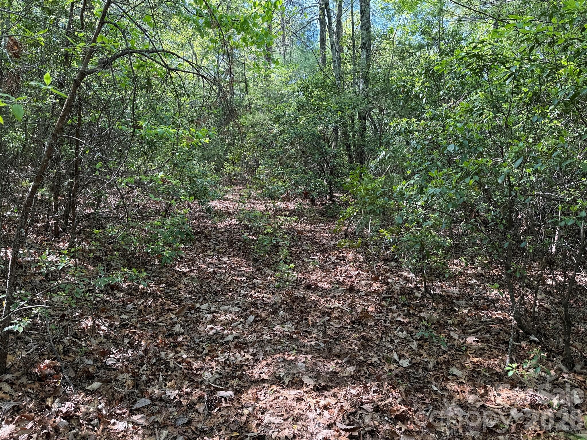 Lot at TBD Staghorn Road, Purlear, photo 14 of 47