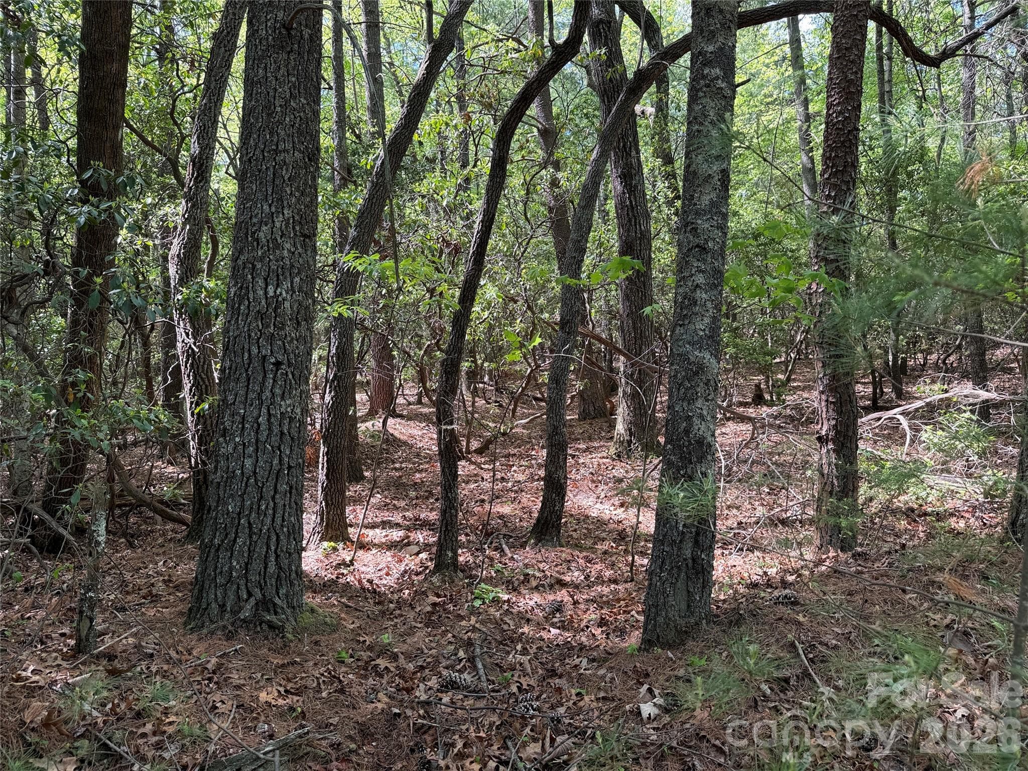 Lot at TBD Staghorn Road, Purlear, photo 15 of 47