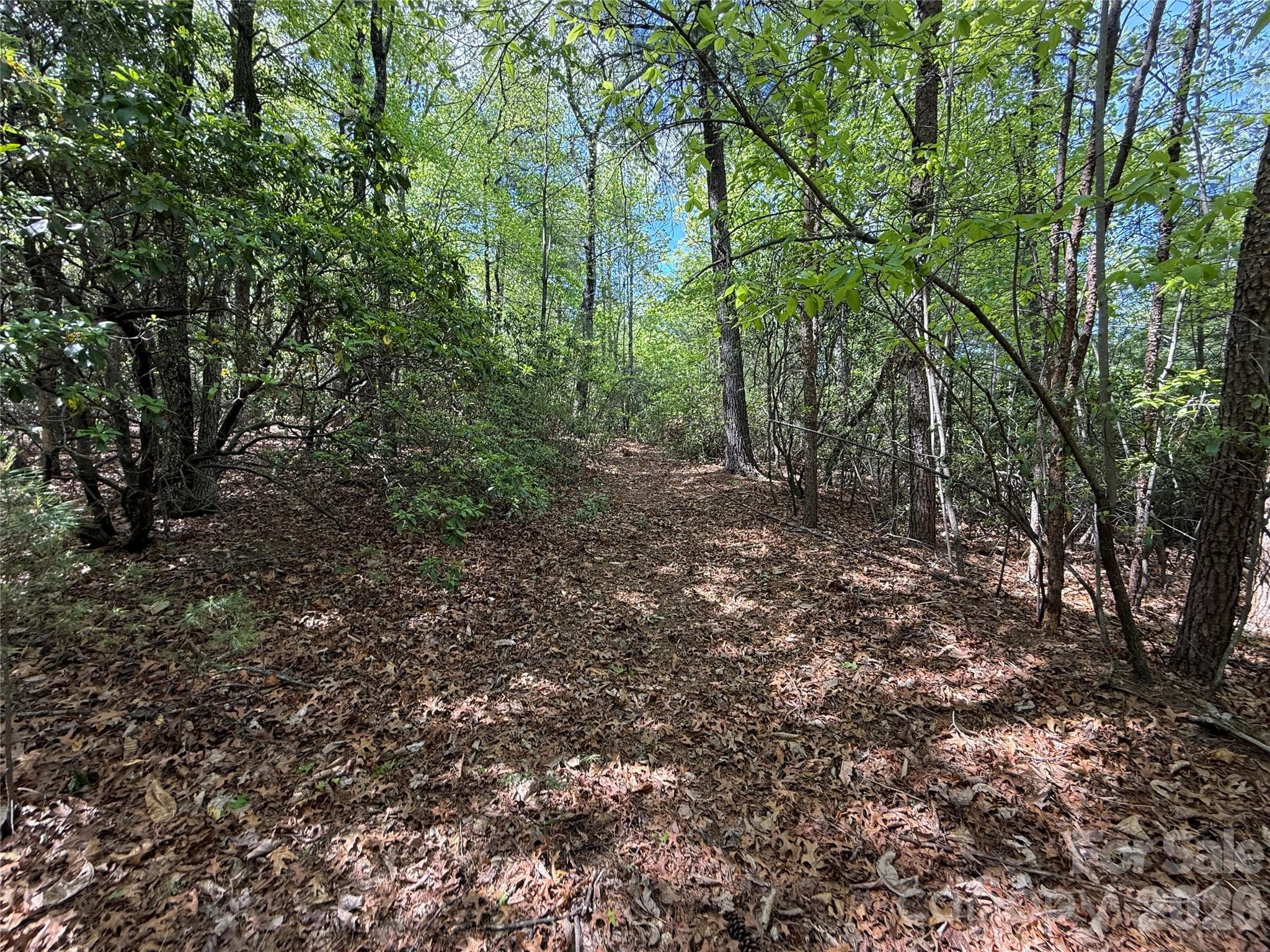 Lot at TBD Staghorn Road, Purlear, photo 16 of 47