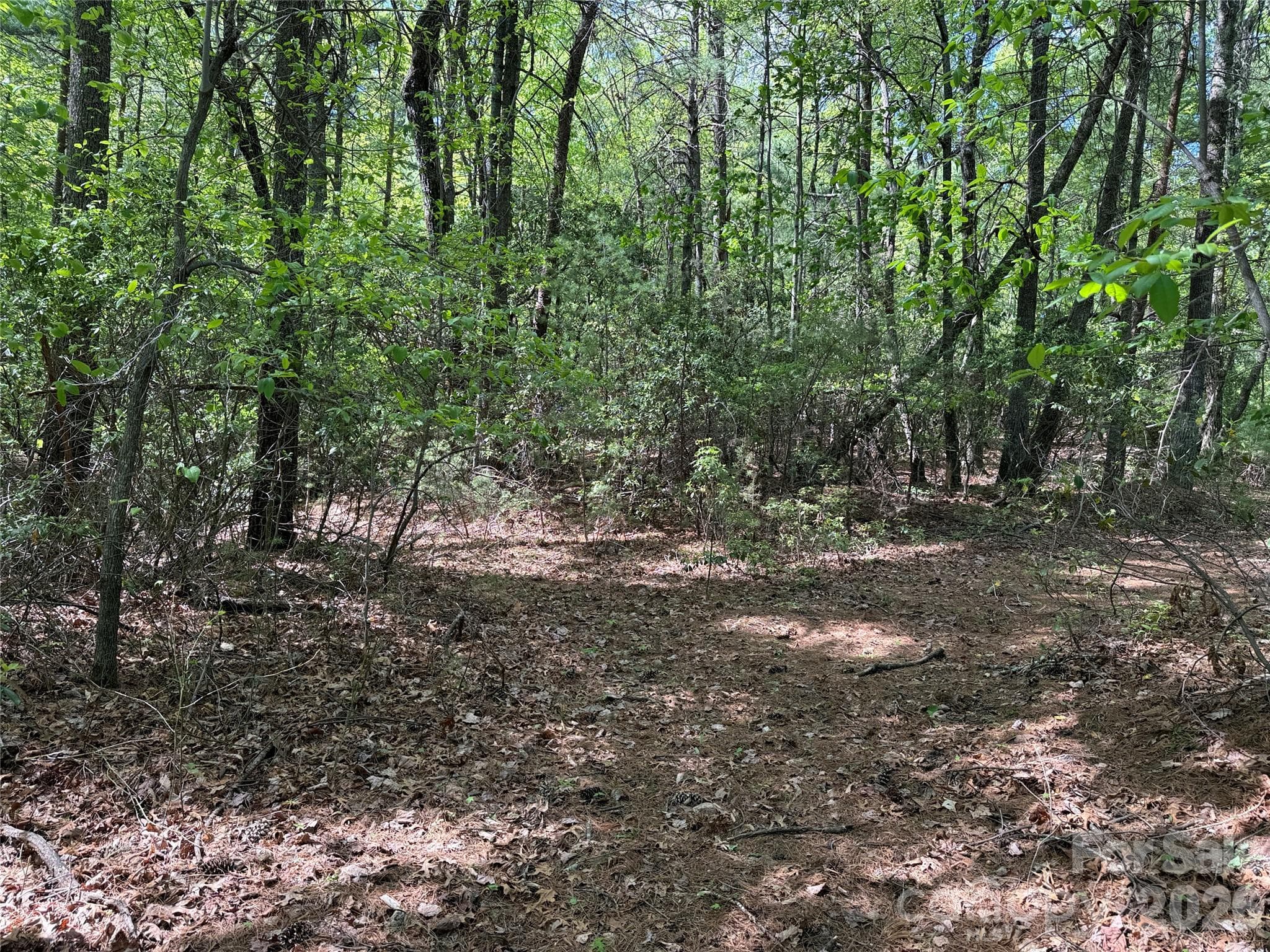 Lot at TBD Staghorn Road, Purlear, photo 17 of 47