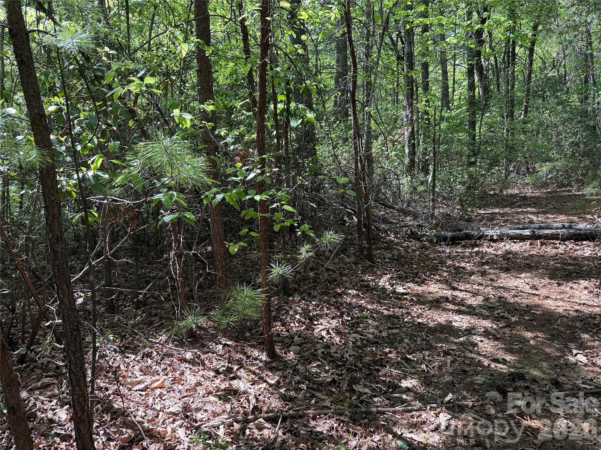 Lot at TBD Staghorn Road, Purlear, photo 18 of 47