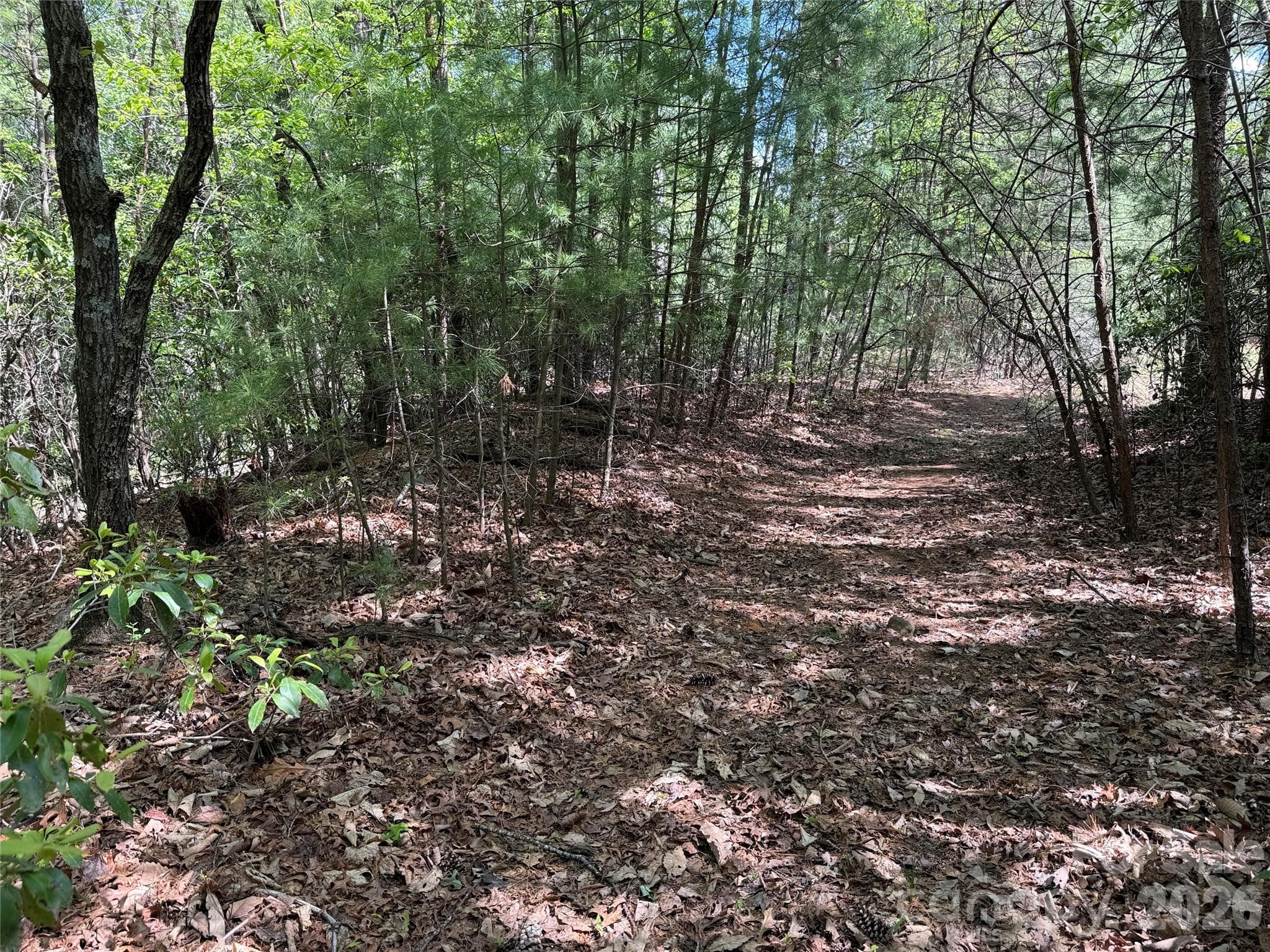 Lot at TBD Staghorn Road, Purlear, photo 19 of 47