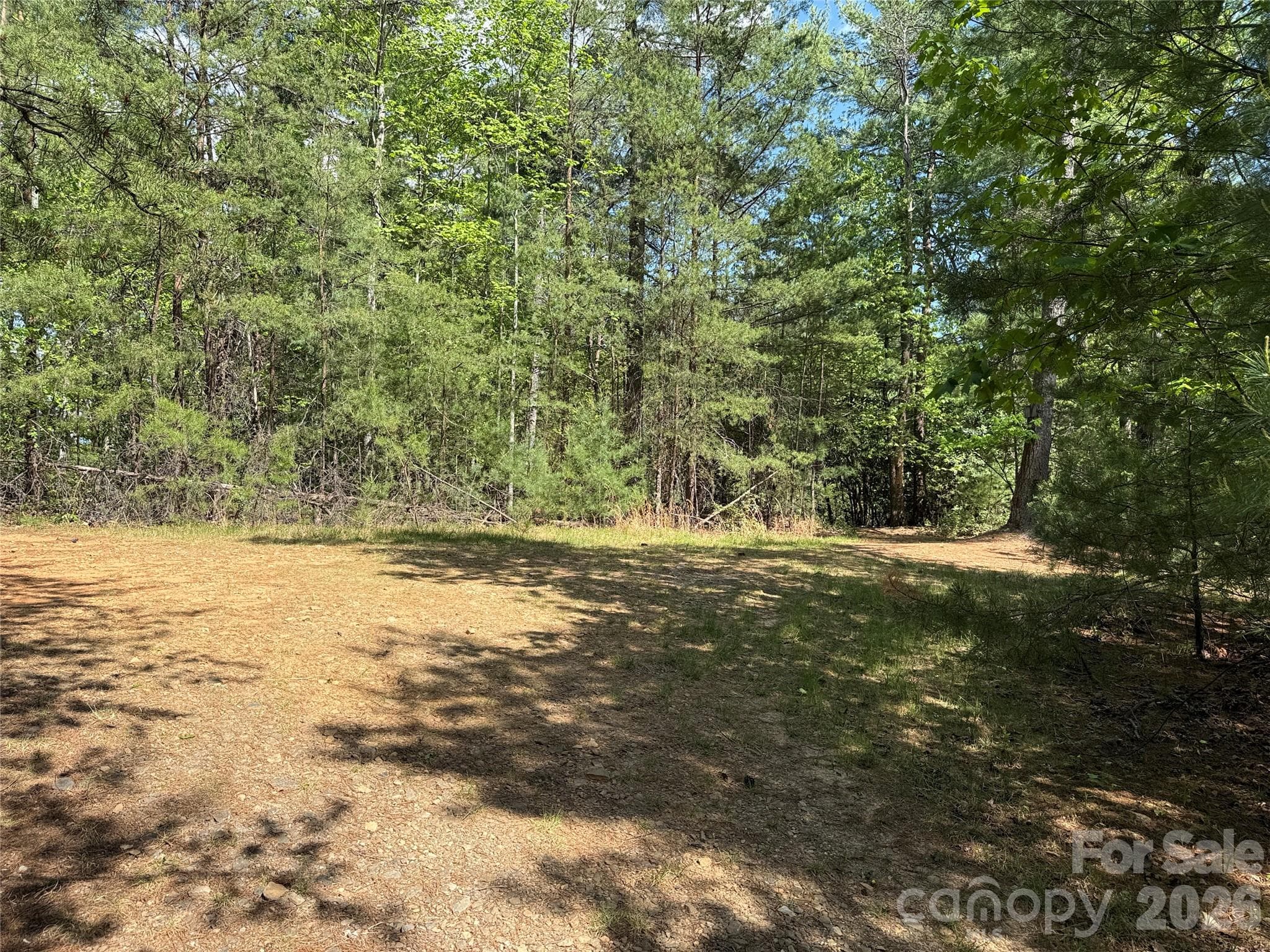 Clearing on Lot 51 - TBD Staghorn Road, Purlear
