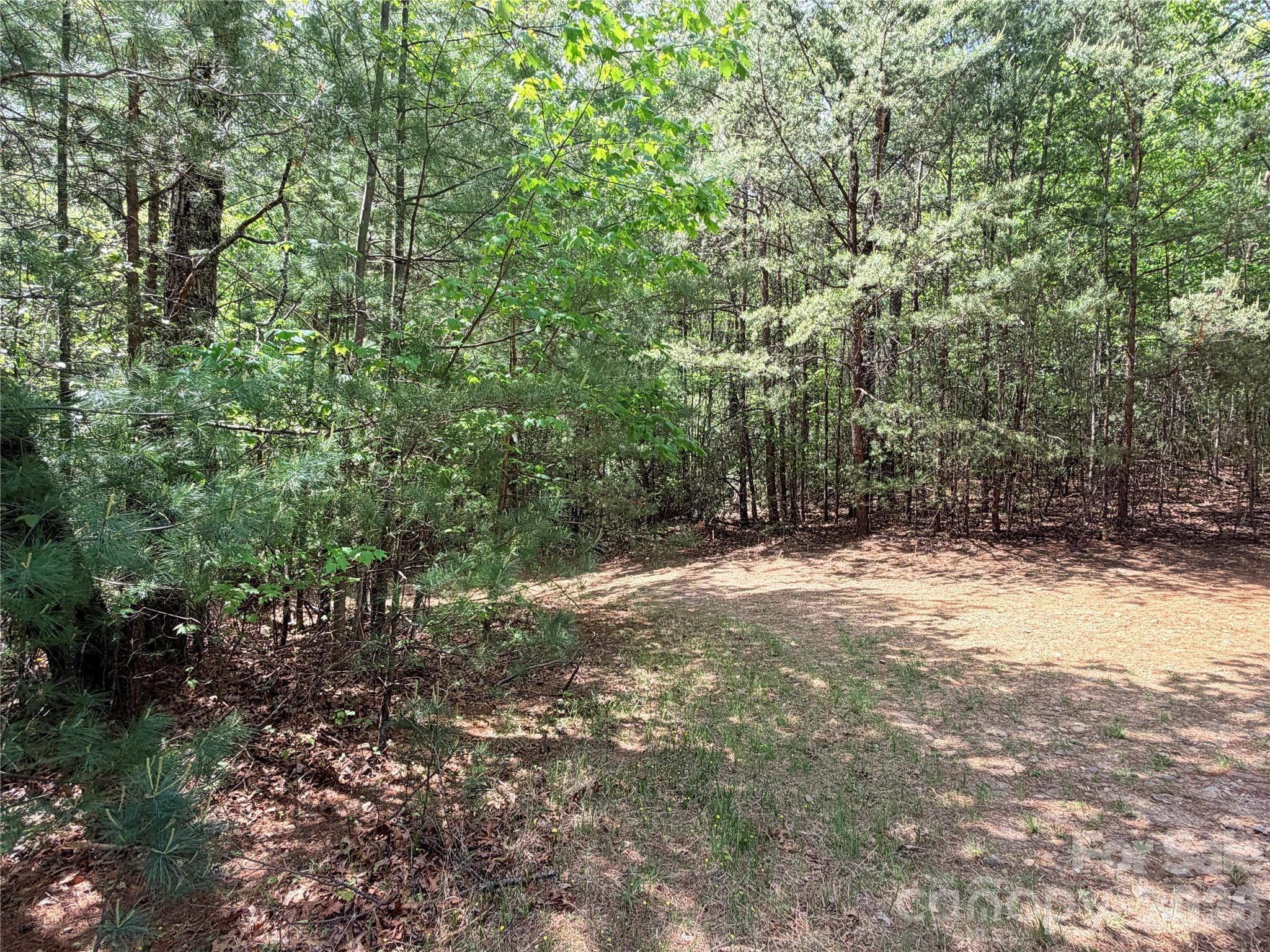 Road to Lot 51 - TBD Staghorn Road, Purlear