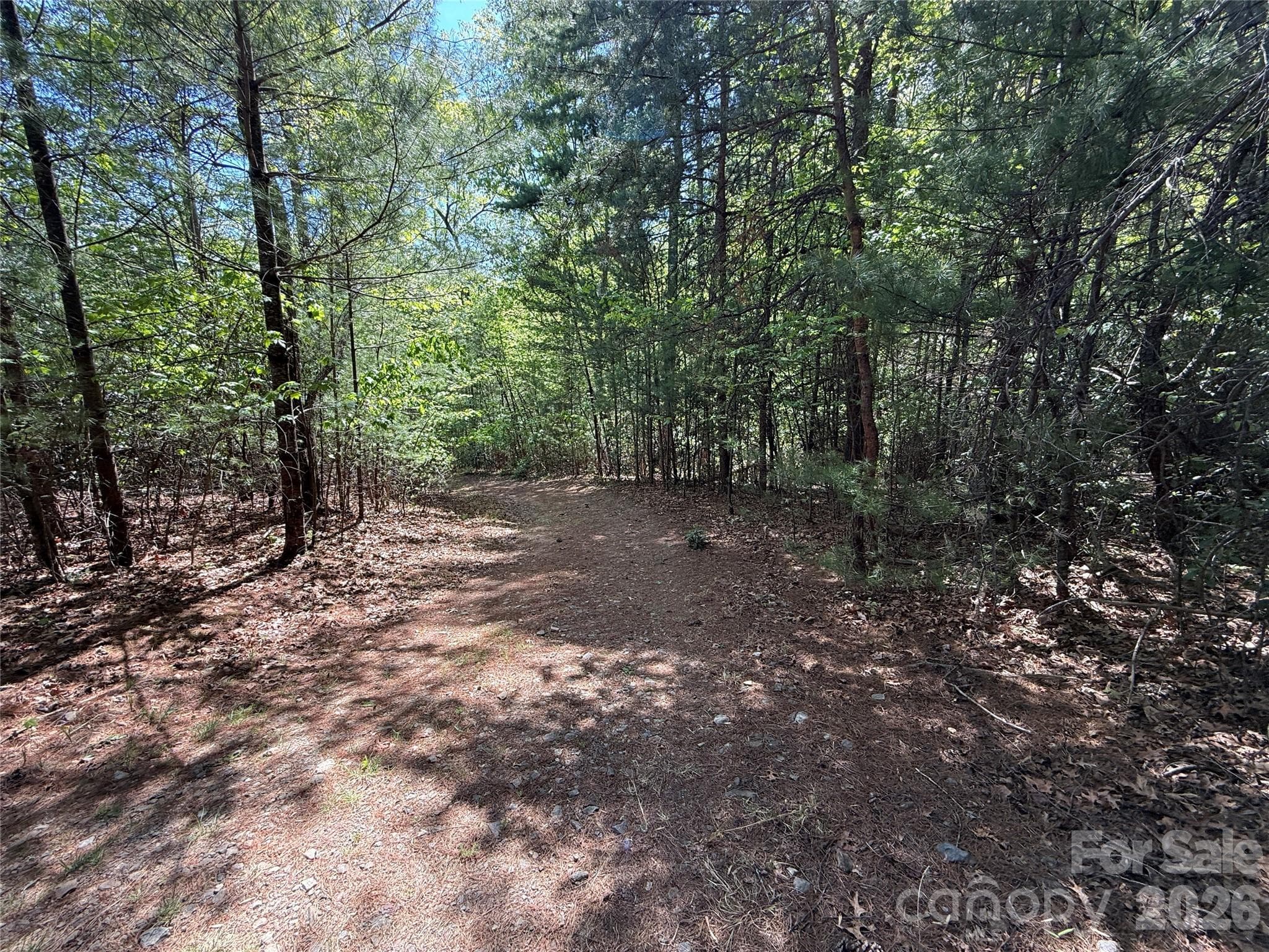 Road to Lot 51 - TBD Staghorn Road, Purlear