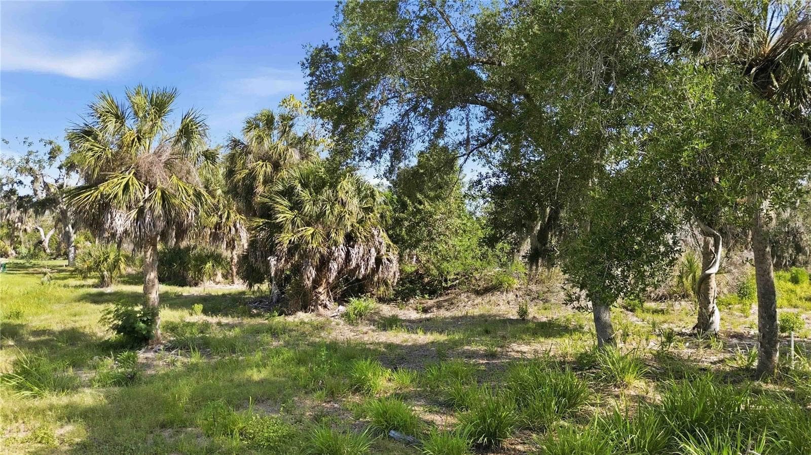 Land at 1910 KENNEDY CT, TERRA CEIA, photo 15 of 19