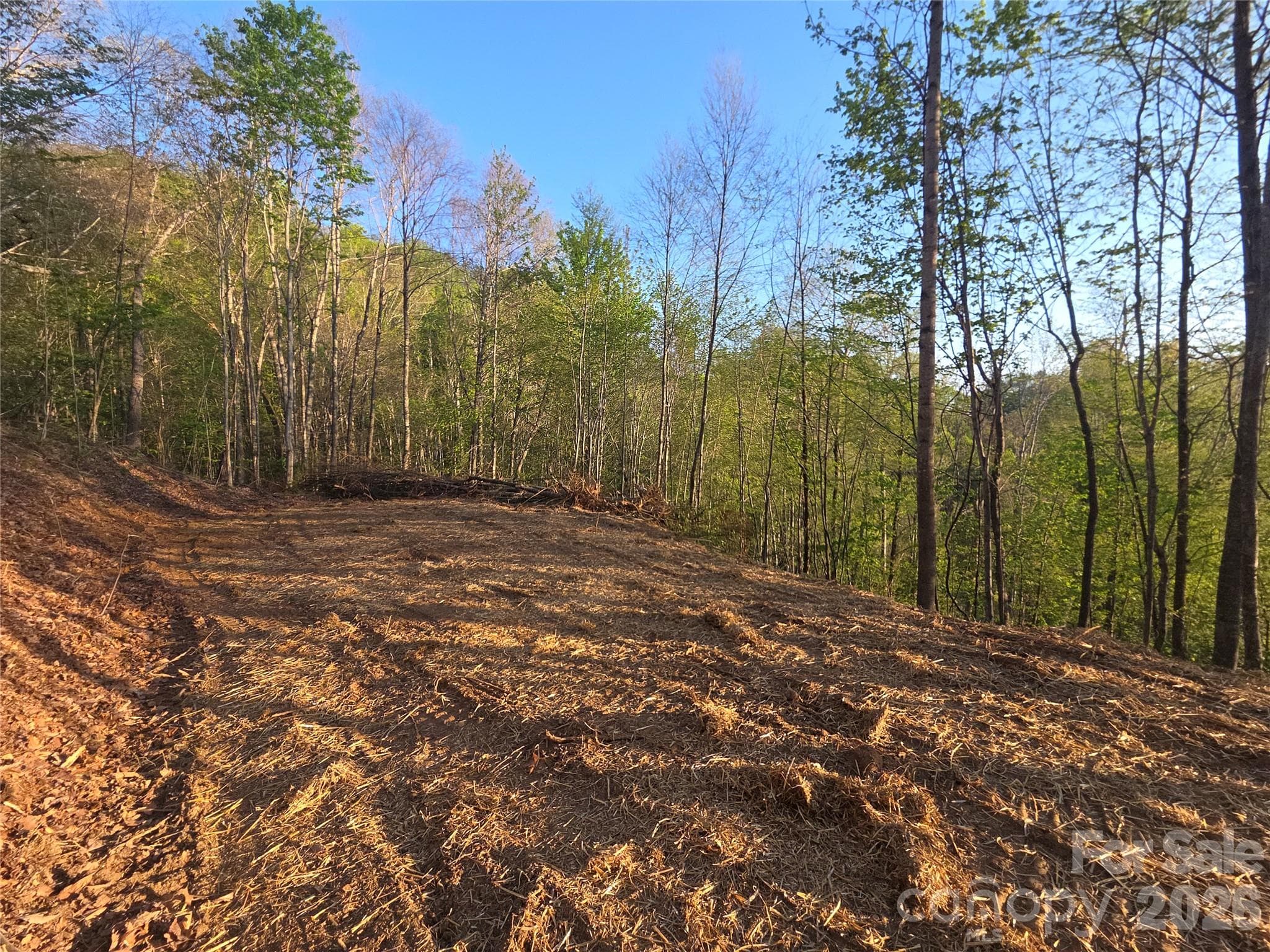 Lot at Waynesville, photo 2 of 26