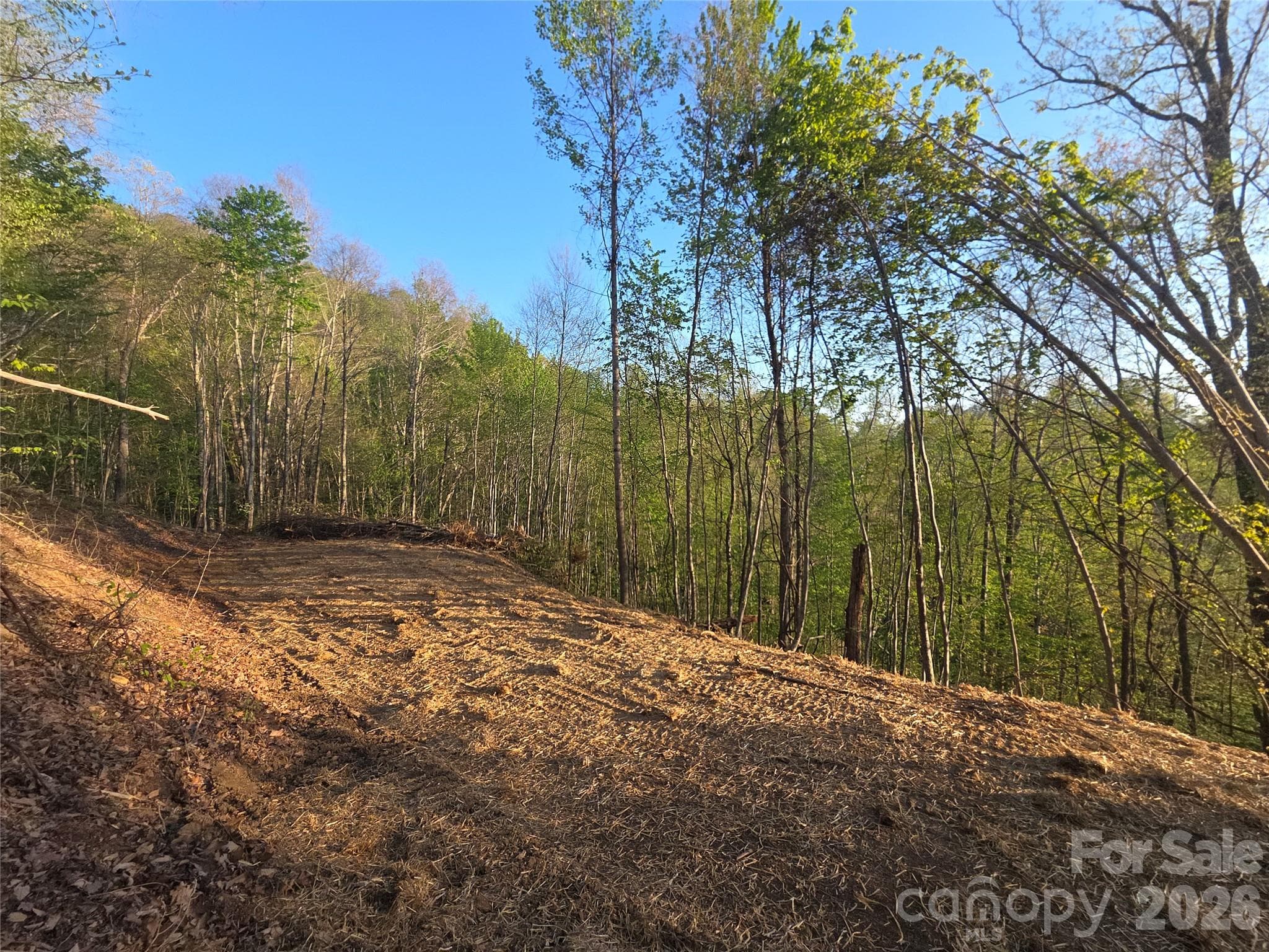 Lot at Waynesville, photo 3 of 26