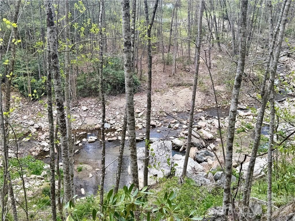 Acreage at TBD Buckeye Road, Elk Park, photo 10 of 10