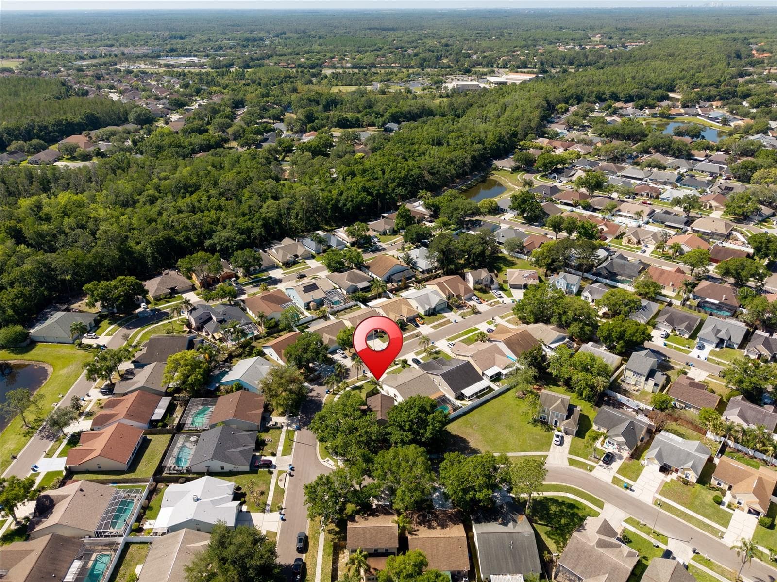 Single Family Residence at 9758 FOX HOLLOW RD, TAMPA, photo 43 of 61