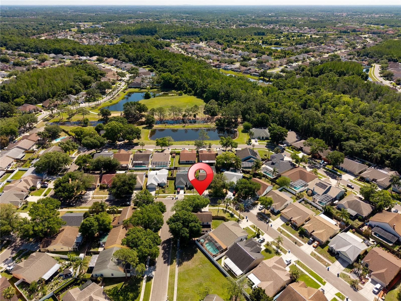 Single Family Residence at 9758 FOX HOLLOW RD, TAMPA, photo 45 of 61