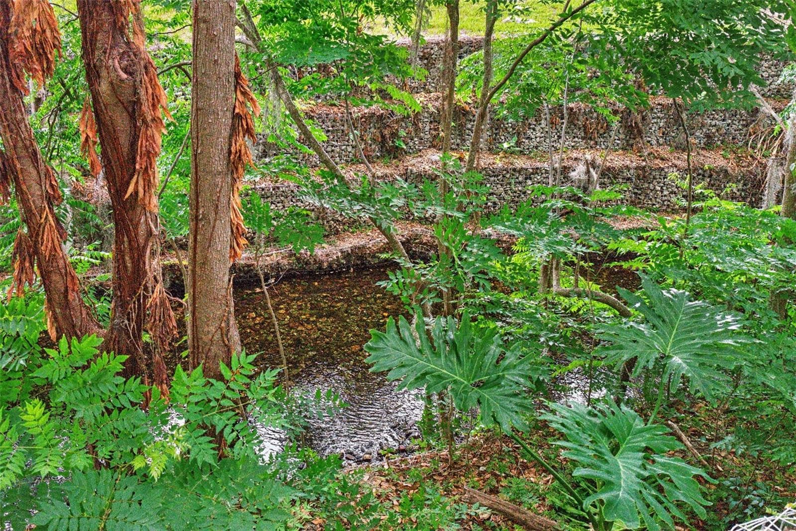 Little Wekiva River - 517 SAN SEBASTIAN PRADO, ALTAMONTE SPRINGS