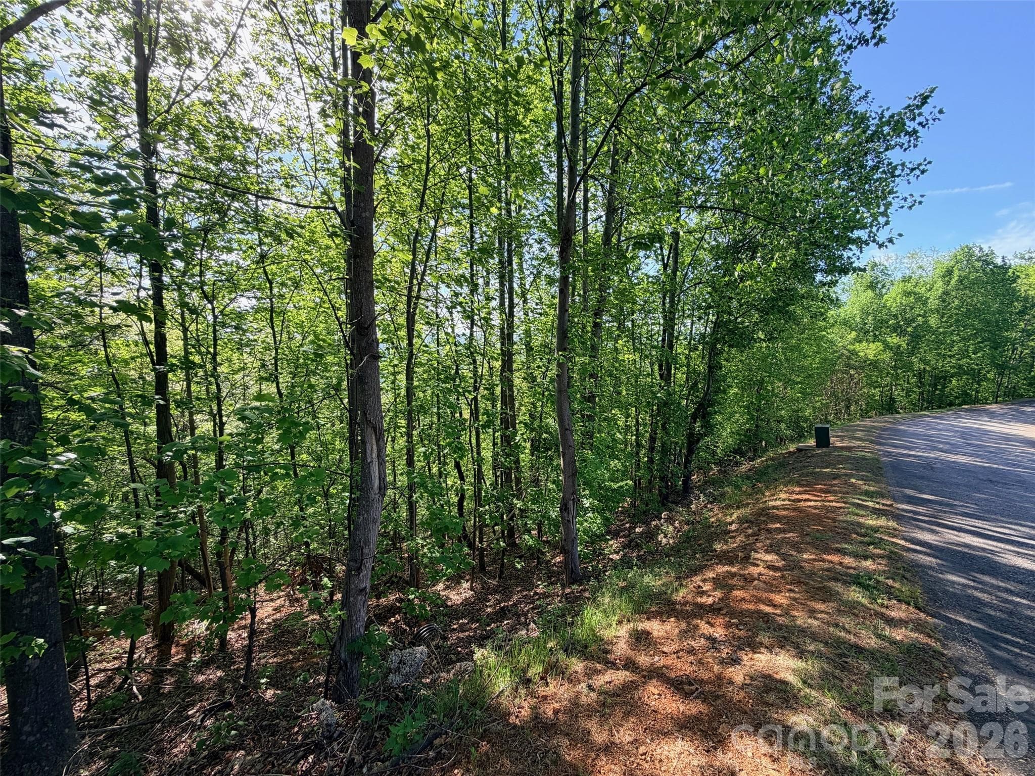 Lot at 0 Bills Mountain Trail, Lake Lure, photo 7 of 18
