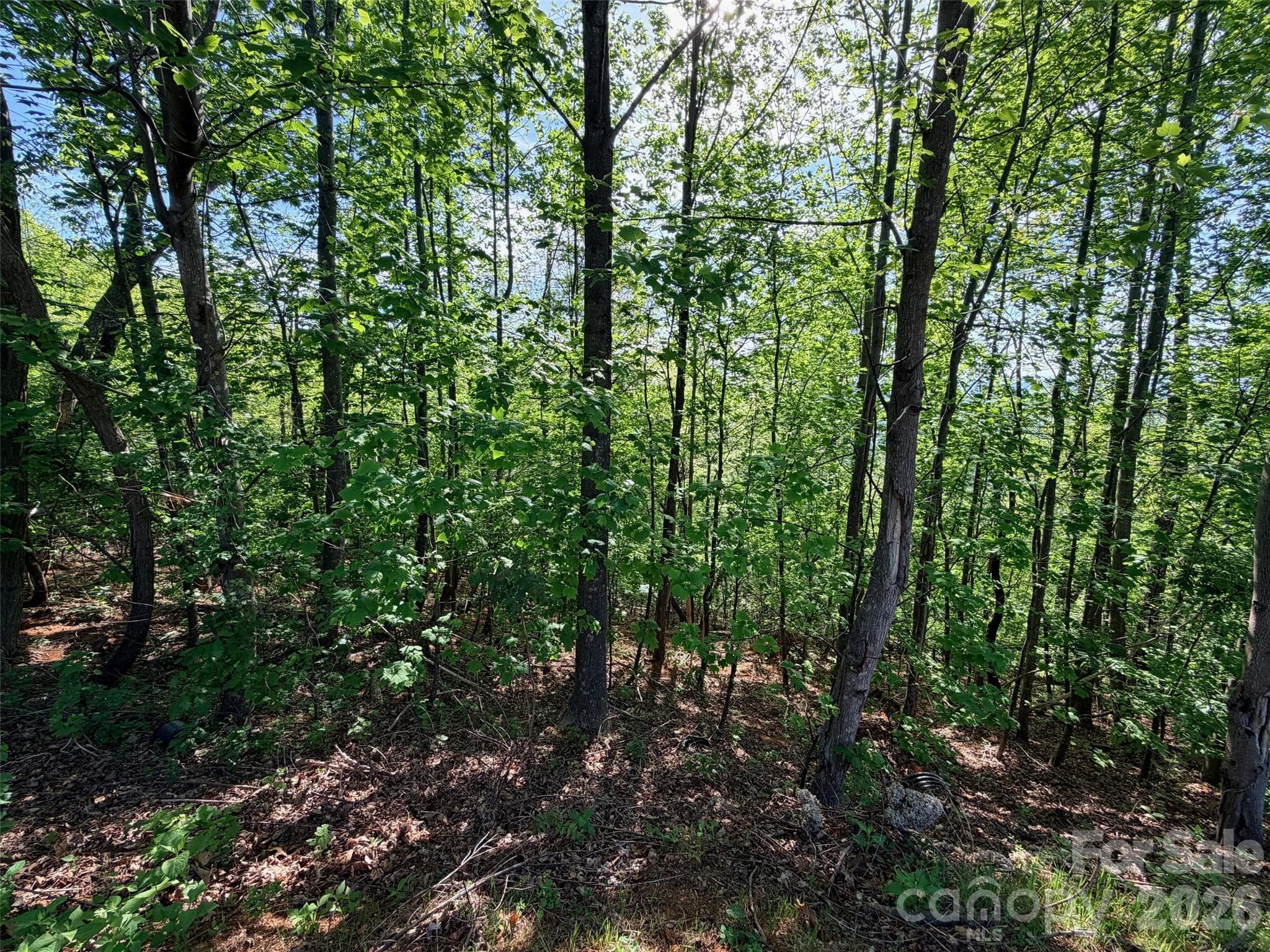 Lot at 0 Bills Mountain Trail, Lake Lure, photo 8 of 18