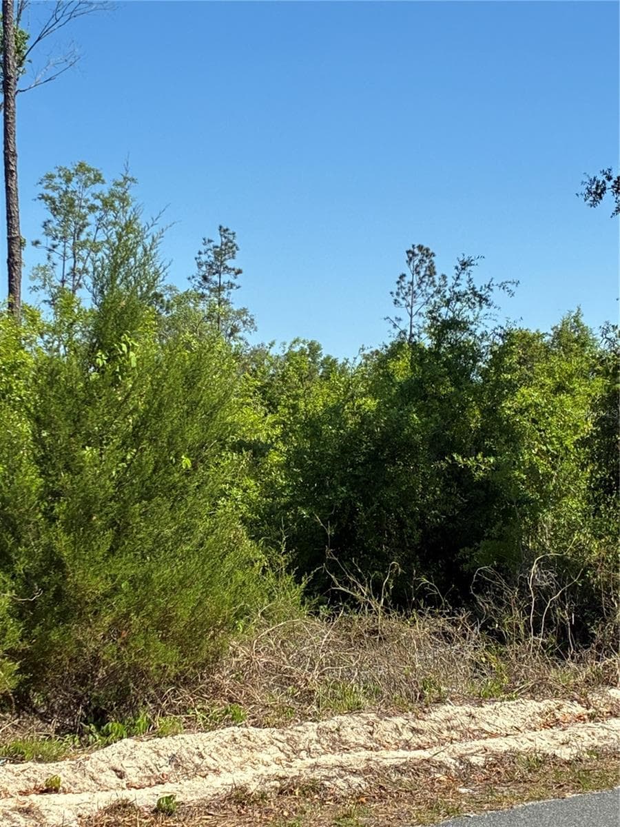 Land at 298TH STREET, NEWBERRY, photo 4 of 5