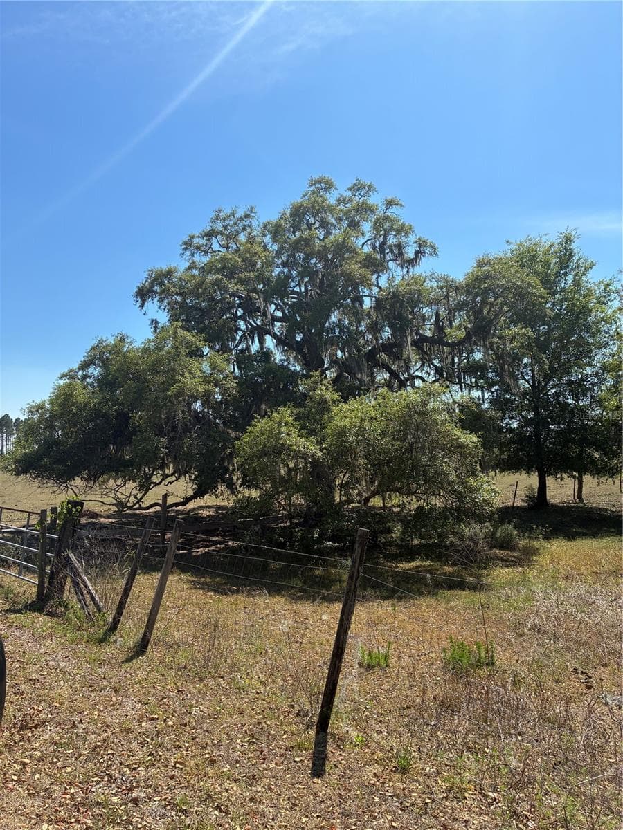 Land at 298TH STREET, NEWBERRY, photo 5 of 5