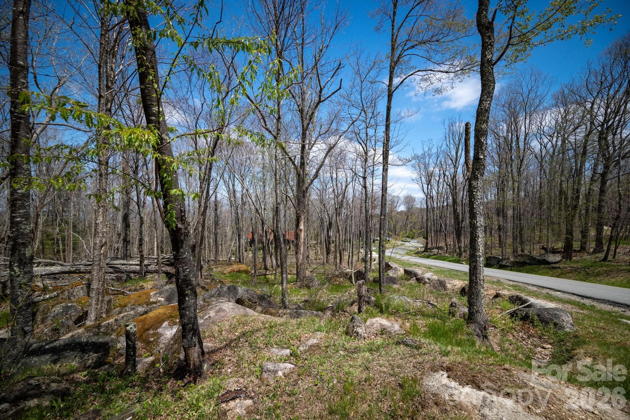 Lot at ES-21 Eagle Springs Trail, Banner Elk, photo 9 of 25