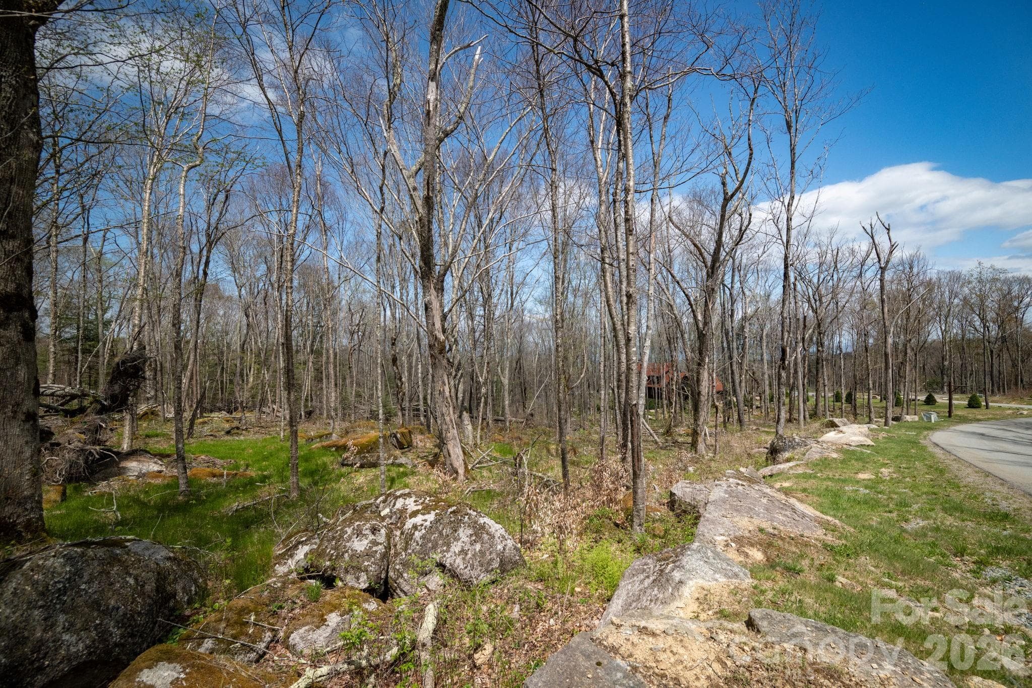 Lot at ES-21 Eagle Springs Trail, Banner Elk, photo 11 of 25