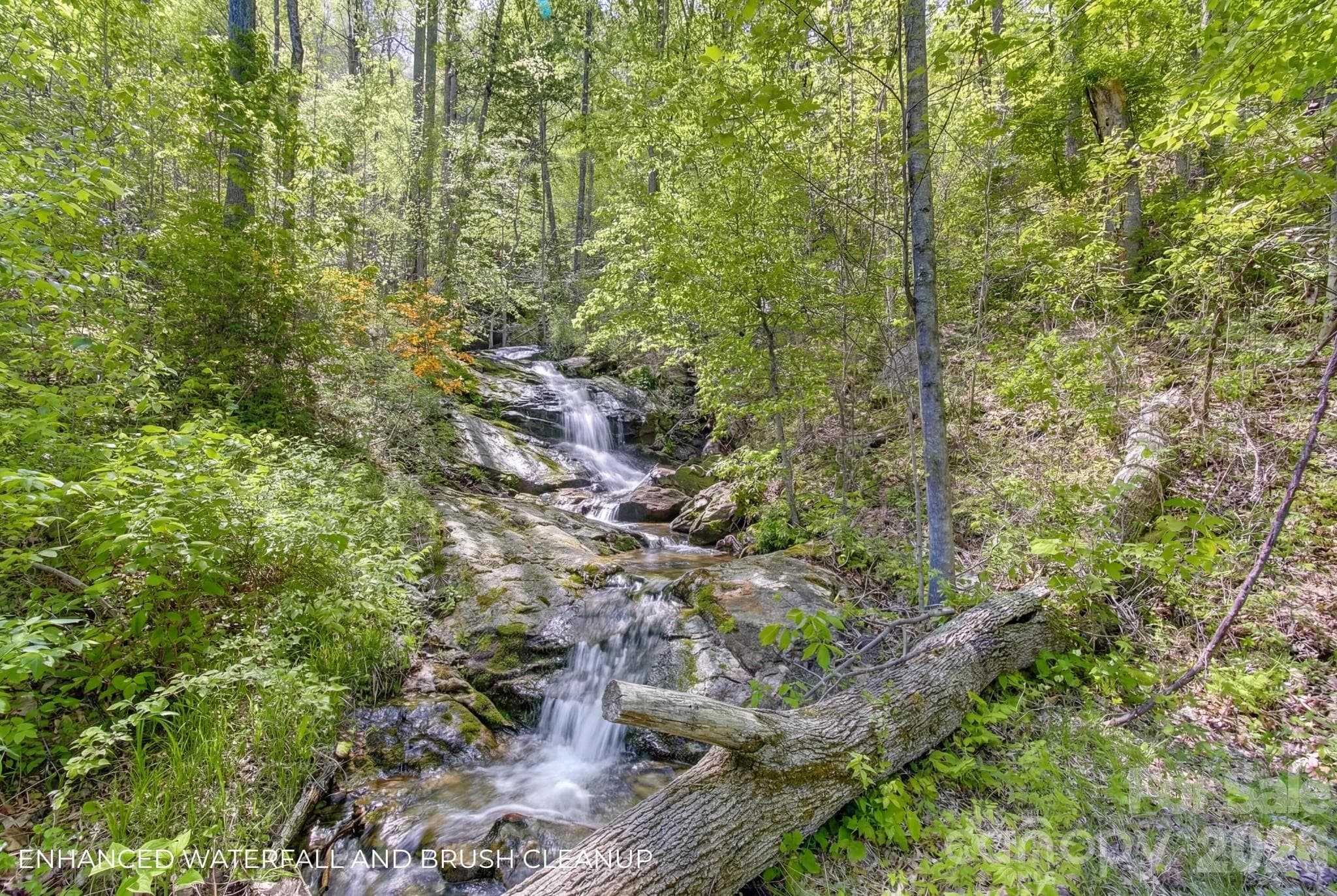 Lot at 109 & 99999 Apgar Road, Candler, photo 2 of 38