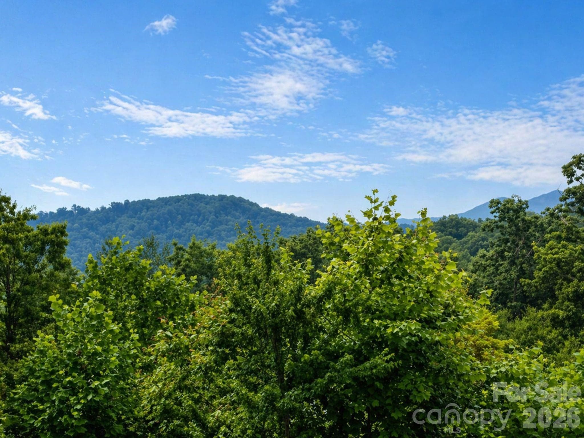 Views off deck - 73 Dalya Road, Swannanoa