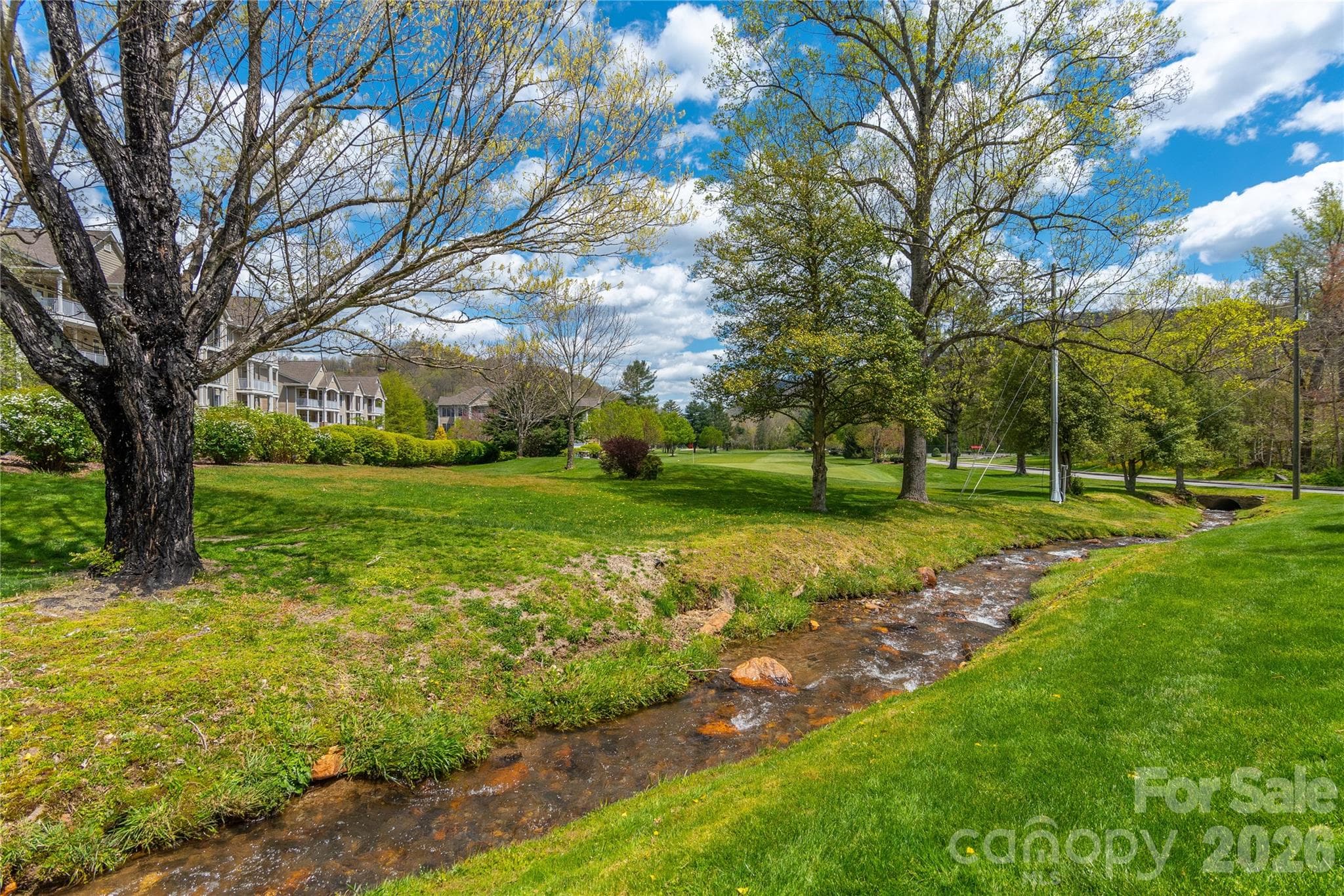 Lot at 500 Sophie Road, Maggie Valley, photo 14 of 32
