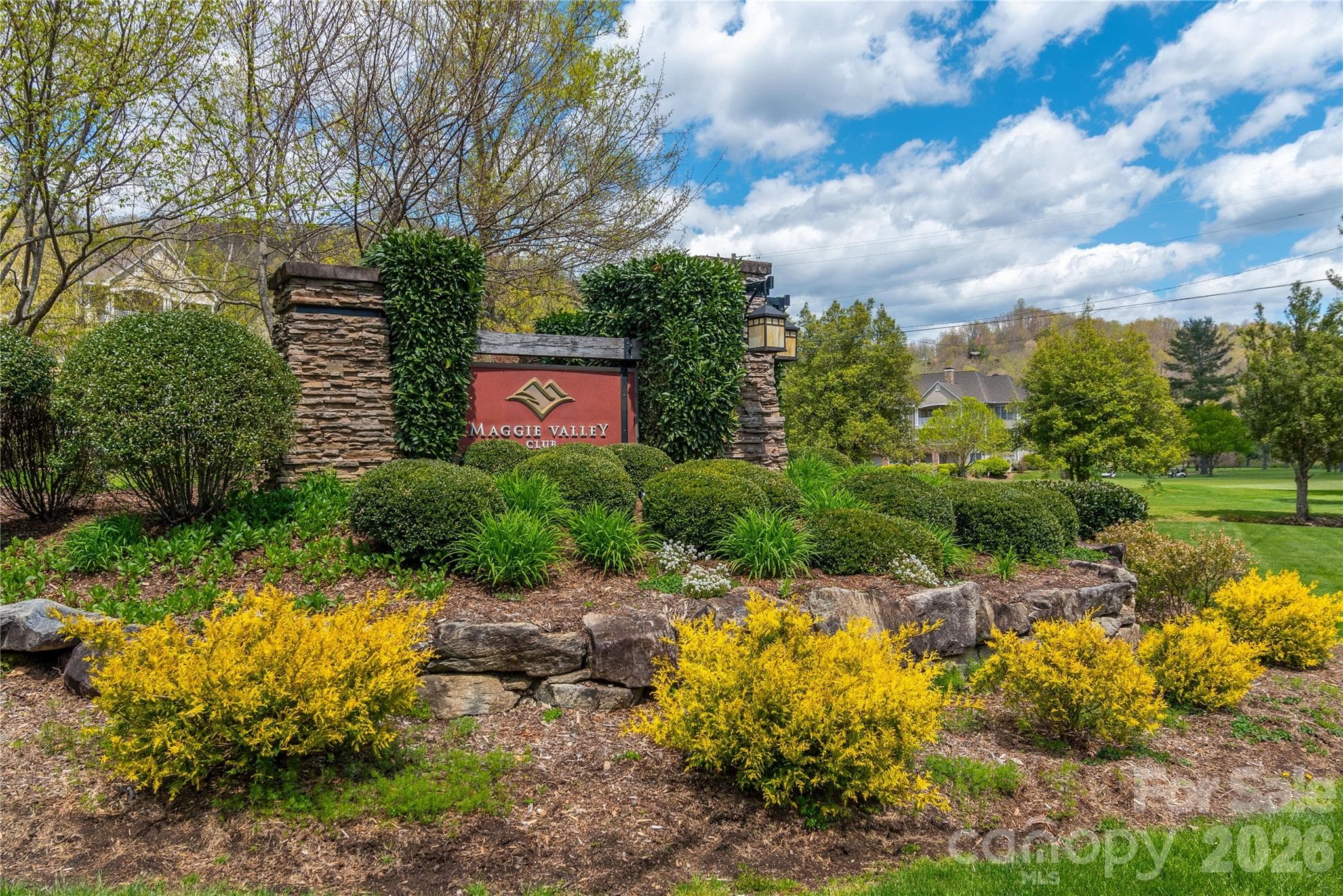 Lot at 500 Sophie Road, Maggie Valley, photo 15 of 32