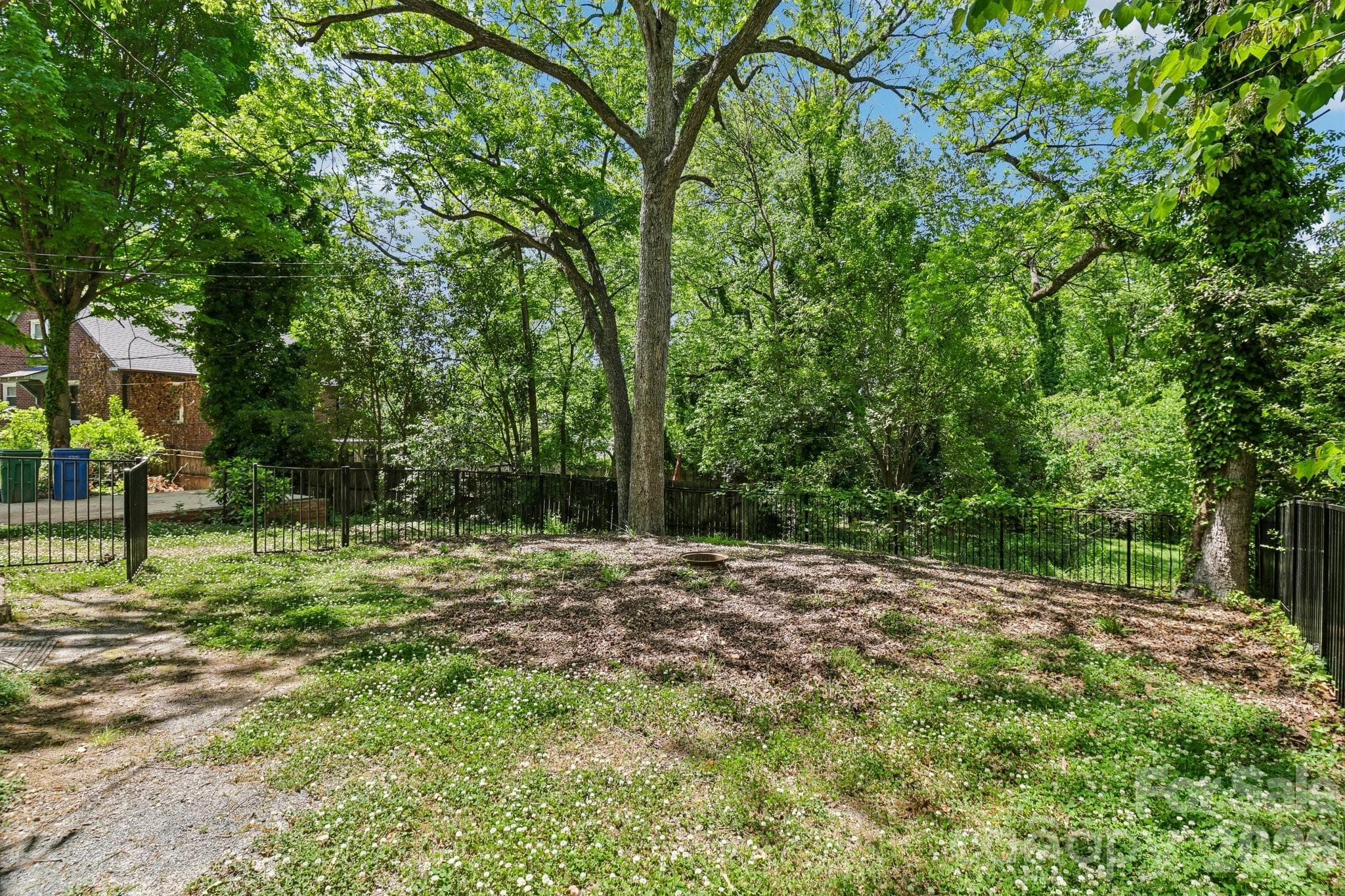 Backyard - 235 N 6th Street, Albemarle