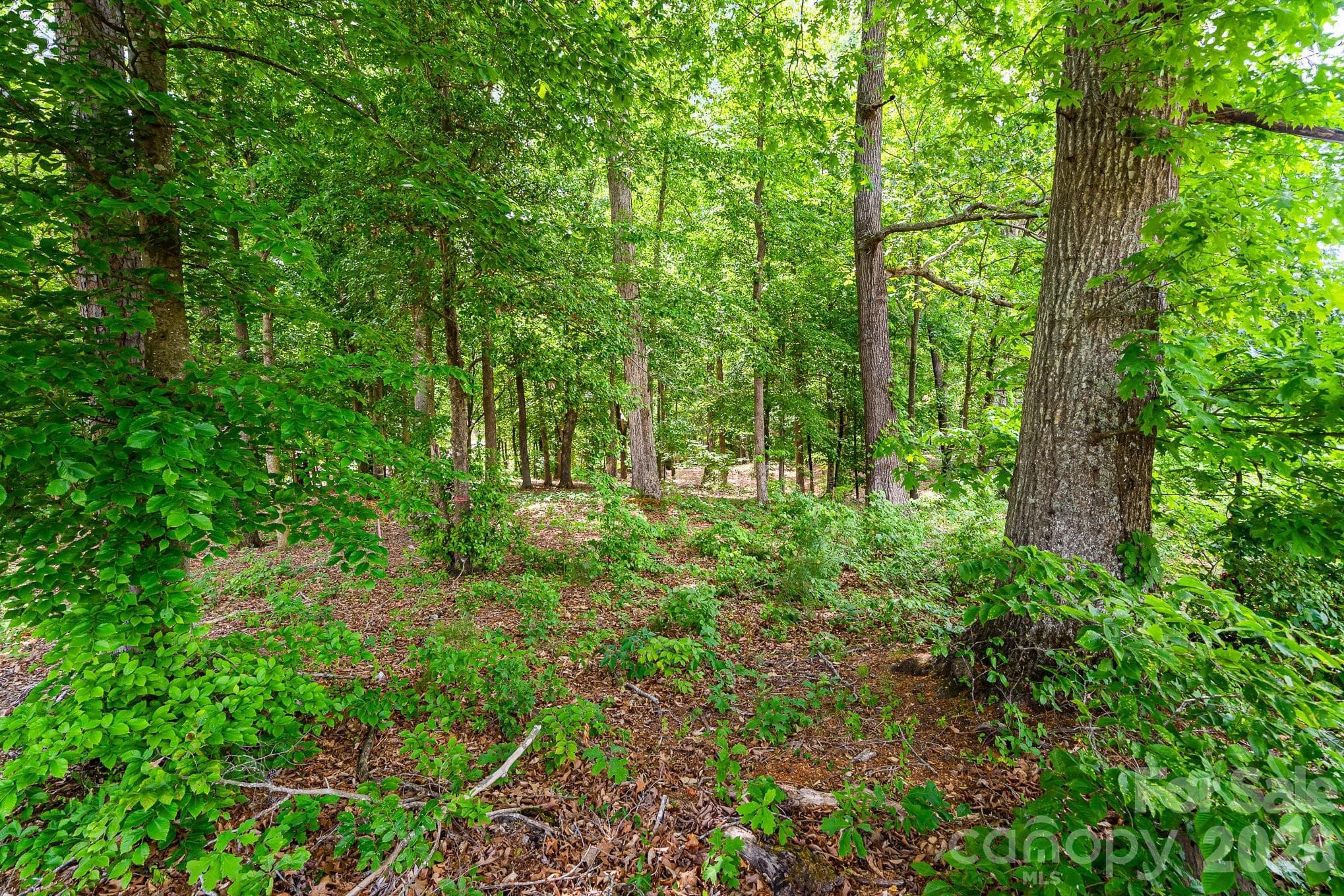 Lot at Lot 10 Eagle Pointe Drive, Norwood, photo 9 of 11