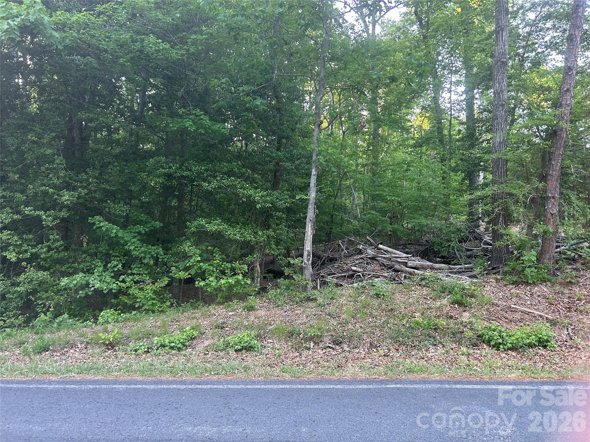 Lot at Albemarle, photo 2 of 5
