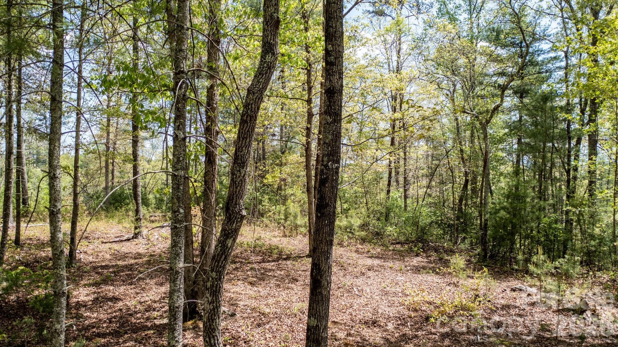 Lot at 00 Scenic Lane, Granite Falls, photo 11 of 27