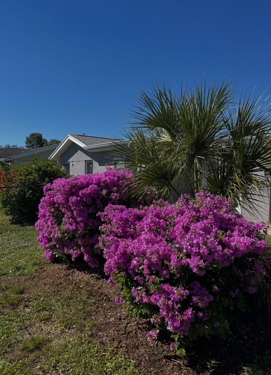 Single Family Residence at 2824 SHANNON DR, PUNTA GORDA, photo 72 of 80