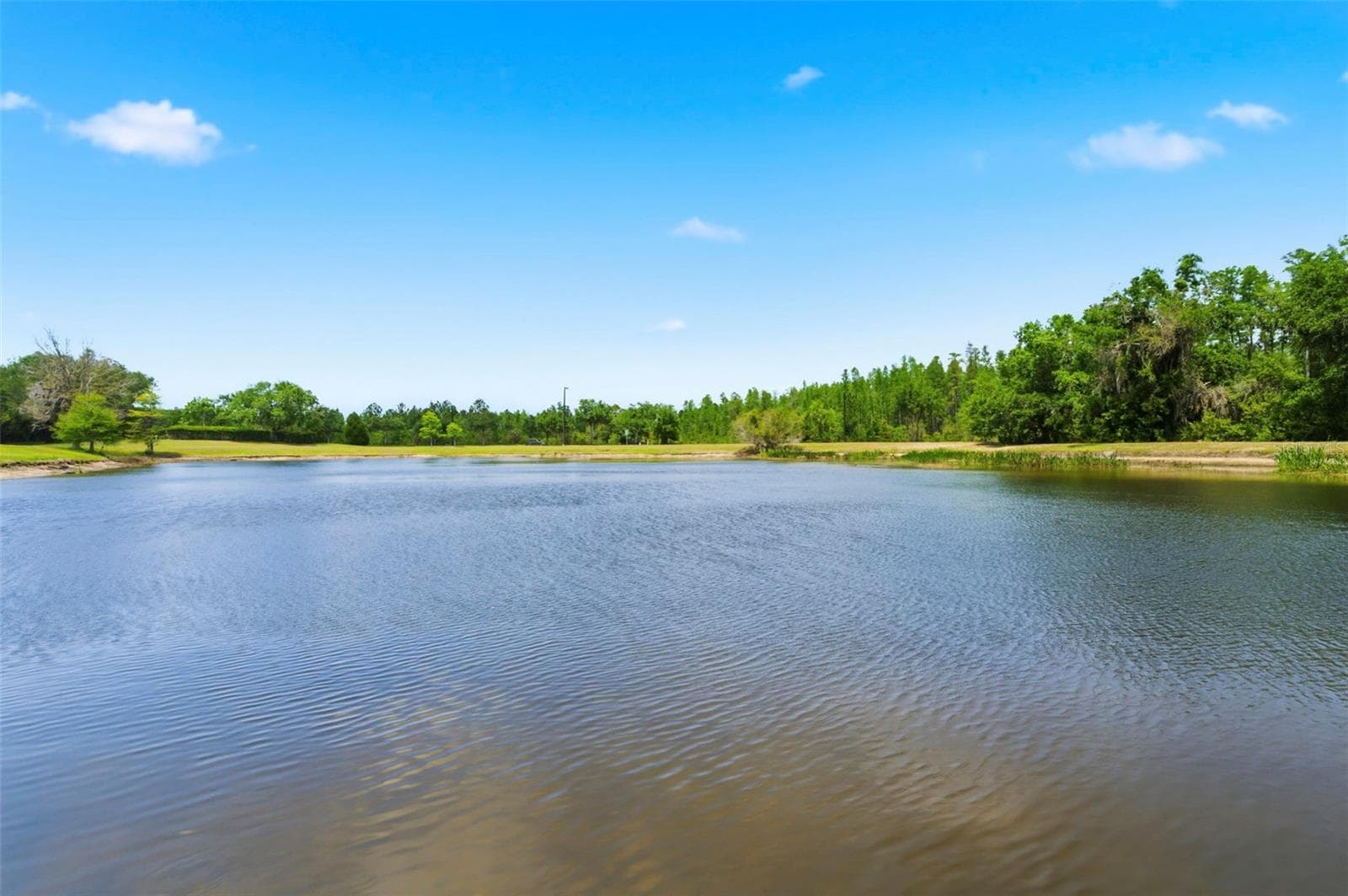 Single Family Residence at 20629 WILD PLUM CT, LAND O LAKES, photo 71 of 89