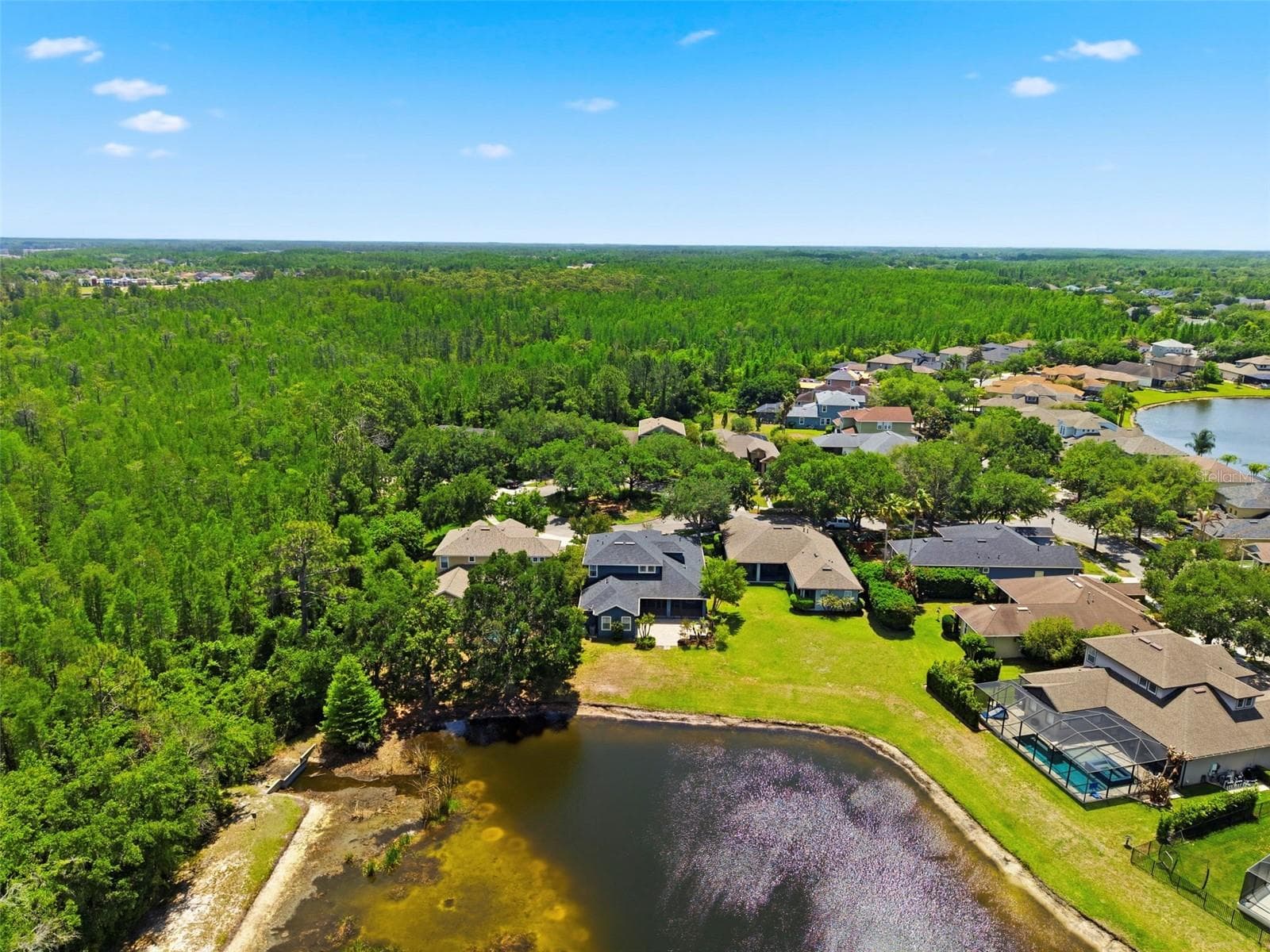 Single Family Residence at 20629 WILD PLUM CT, LAND O LAKES, photo 79 of 89