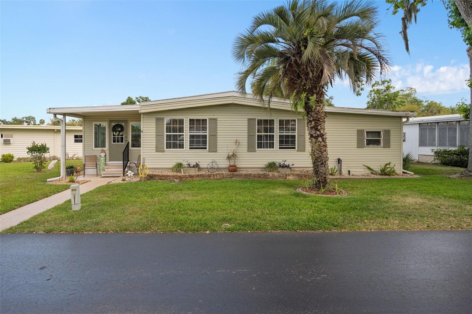 4 GALLINULE CT