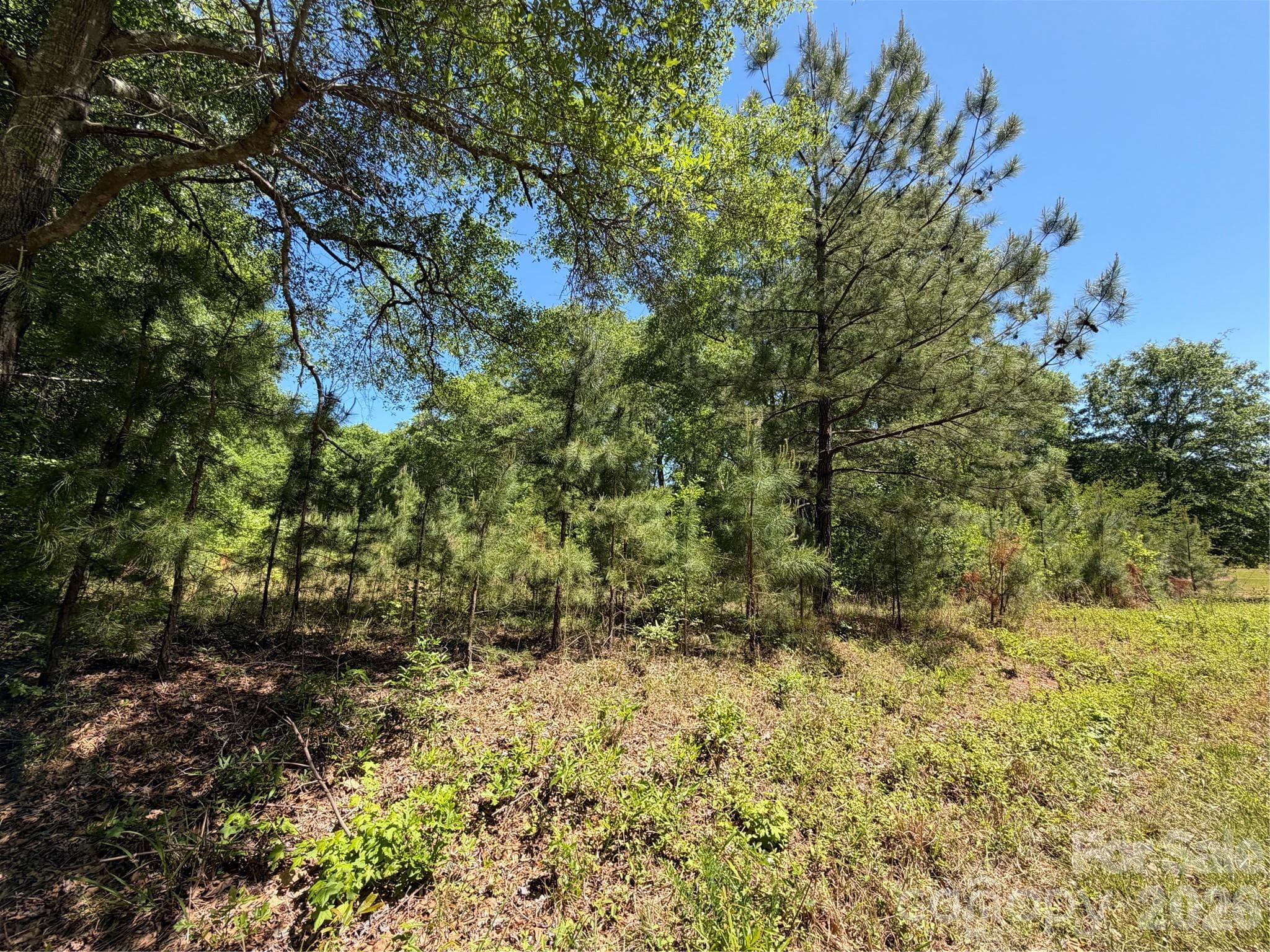 Acreage at Lancaster, photo 7 of 12