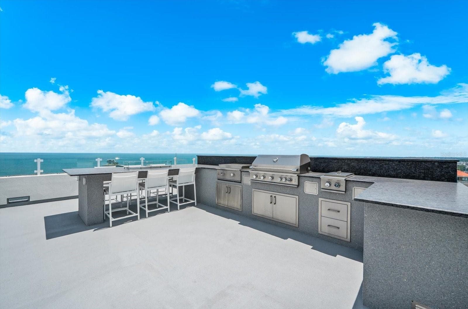 Rooftop Outdoor Kitchen and Barbecue area - 176 4TH AVE NE #201, ST PETERSBURG