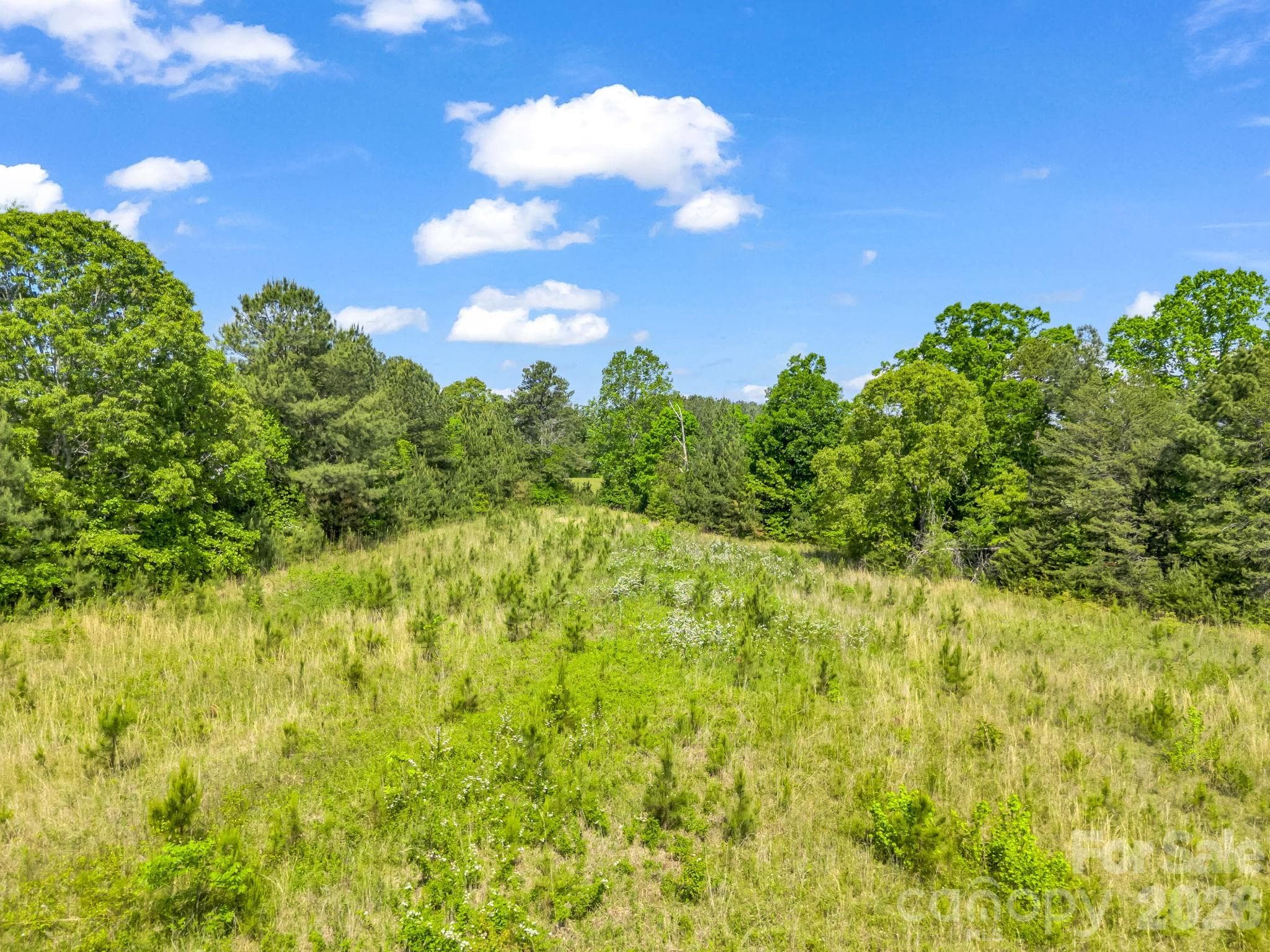 Acreage at 0 S Hwy 9 Highway, Columbus, photo 5 of 36