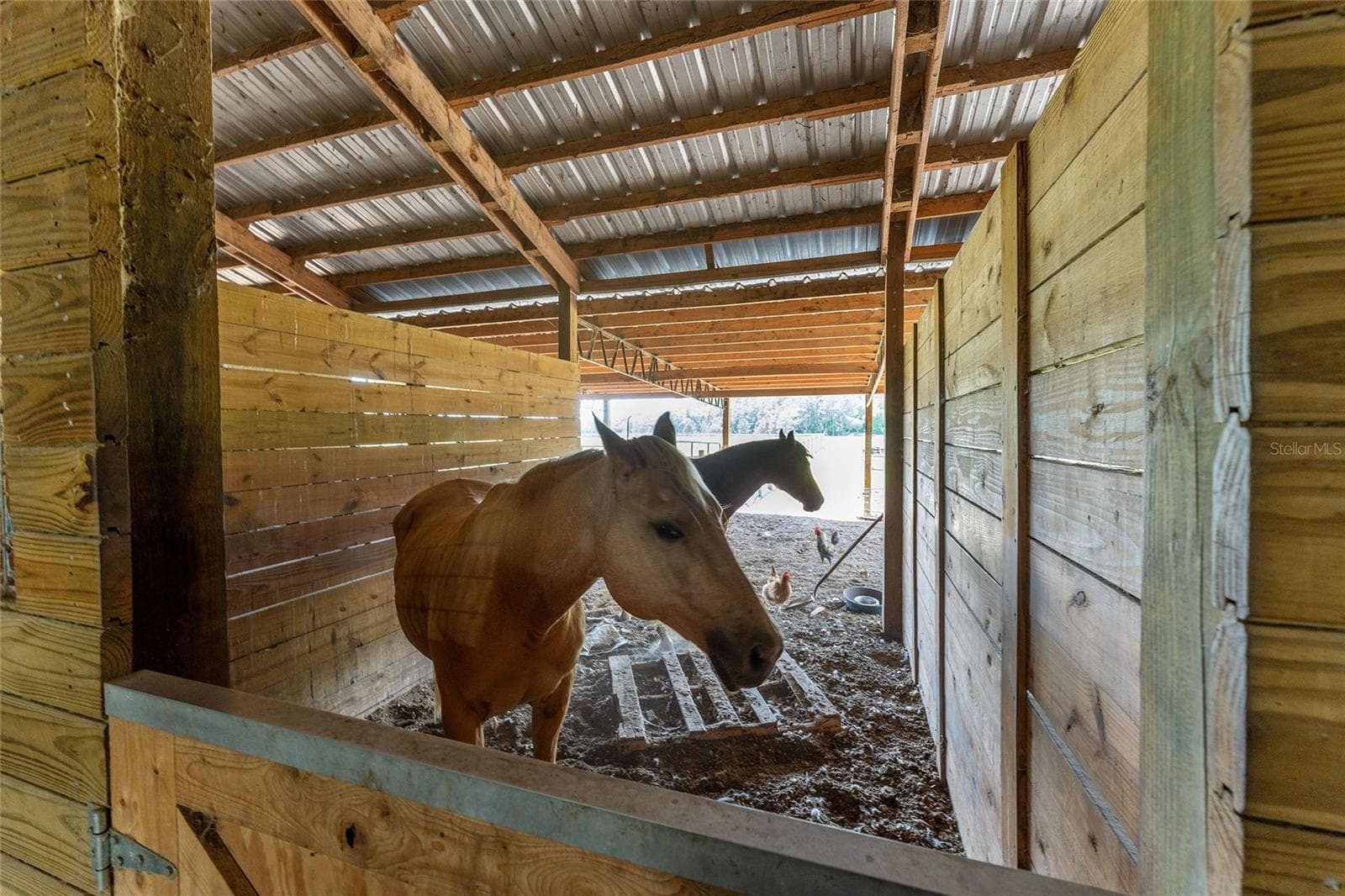 Farm at 15120 SE 85TH ST, OCKLAWAHA, photo 33 of 55