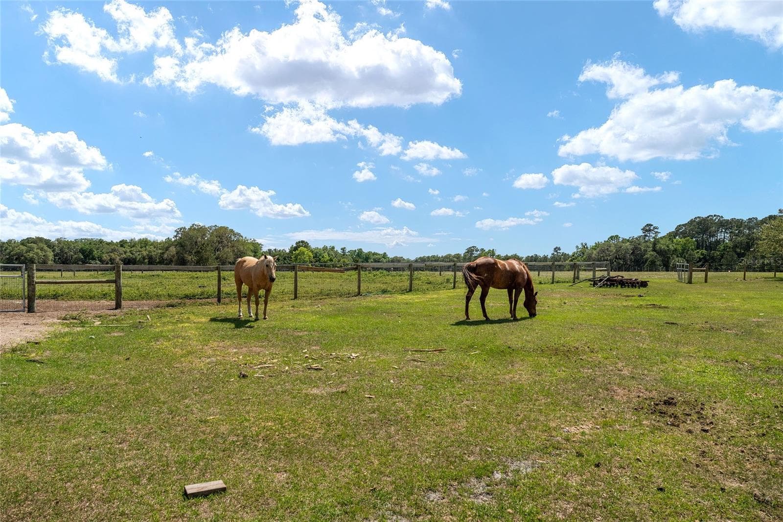 Farm at 15120 SE 85TH ST, OCKLAWAHA, photo 39 of 55