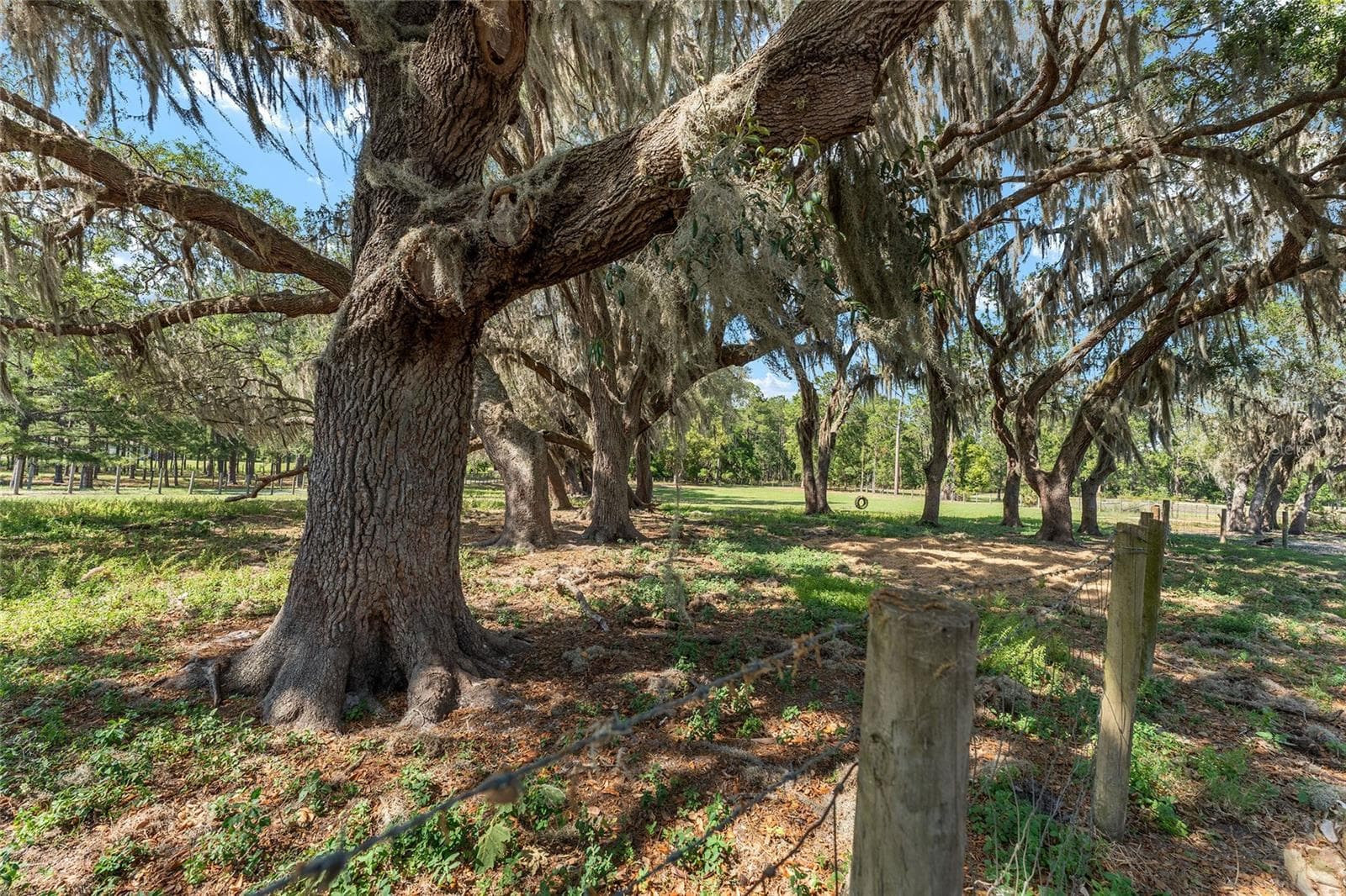 Farm at 15120 SE 85TH ST, OCKLAWAHA, photo 54 of 55