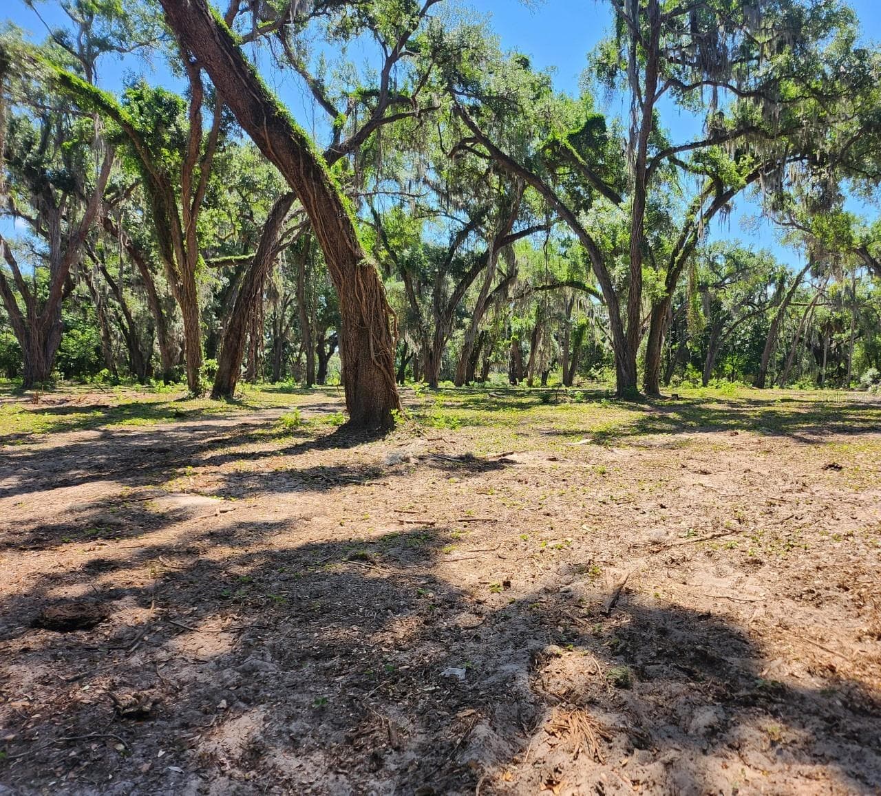 Land at MUCK POND RD, SEFFNER, photo 14 of 14