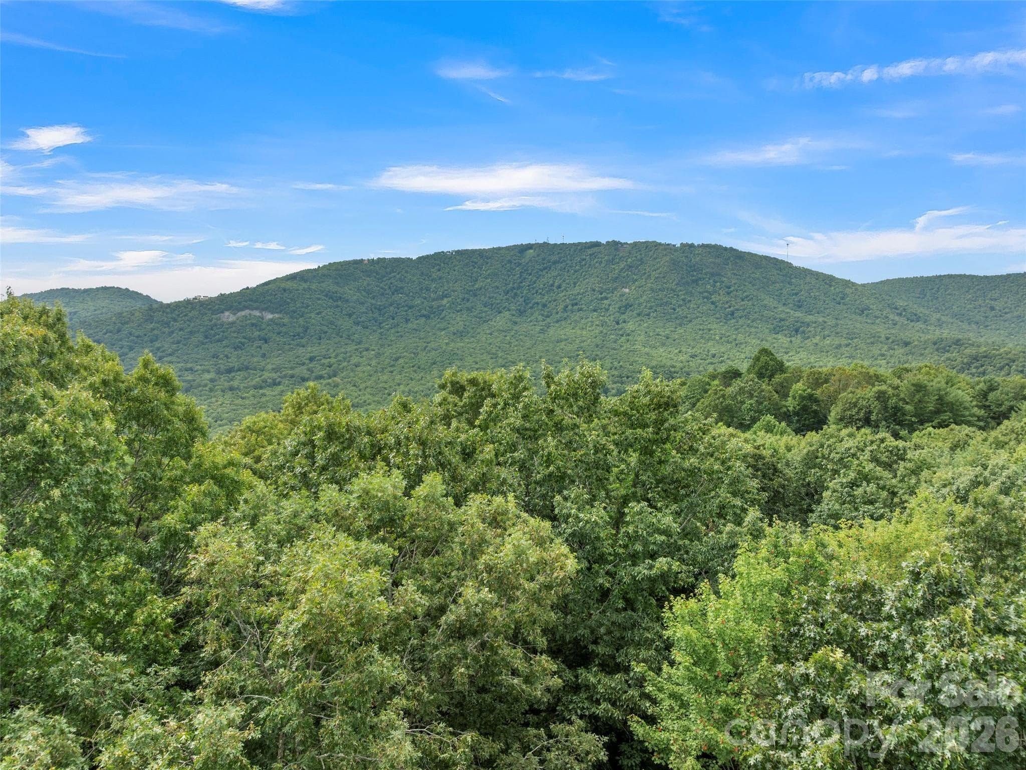 Potential views of Pinnacle Mountain from highest elevation on the property - Hendersonville