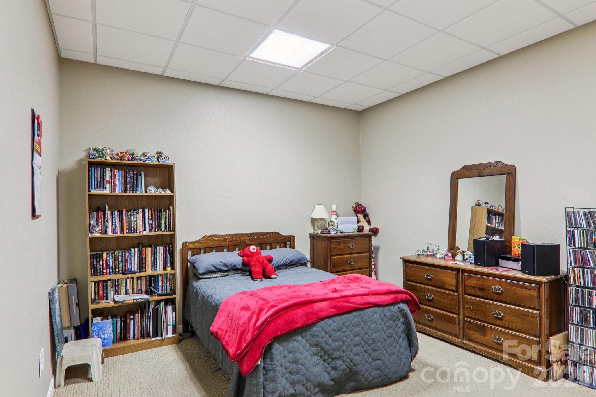 Basement Bonus Room - 6 Wagon Trace, Flat Rock