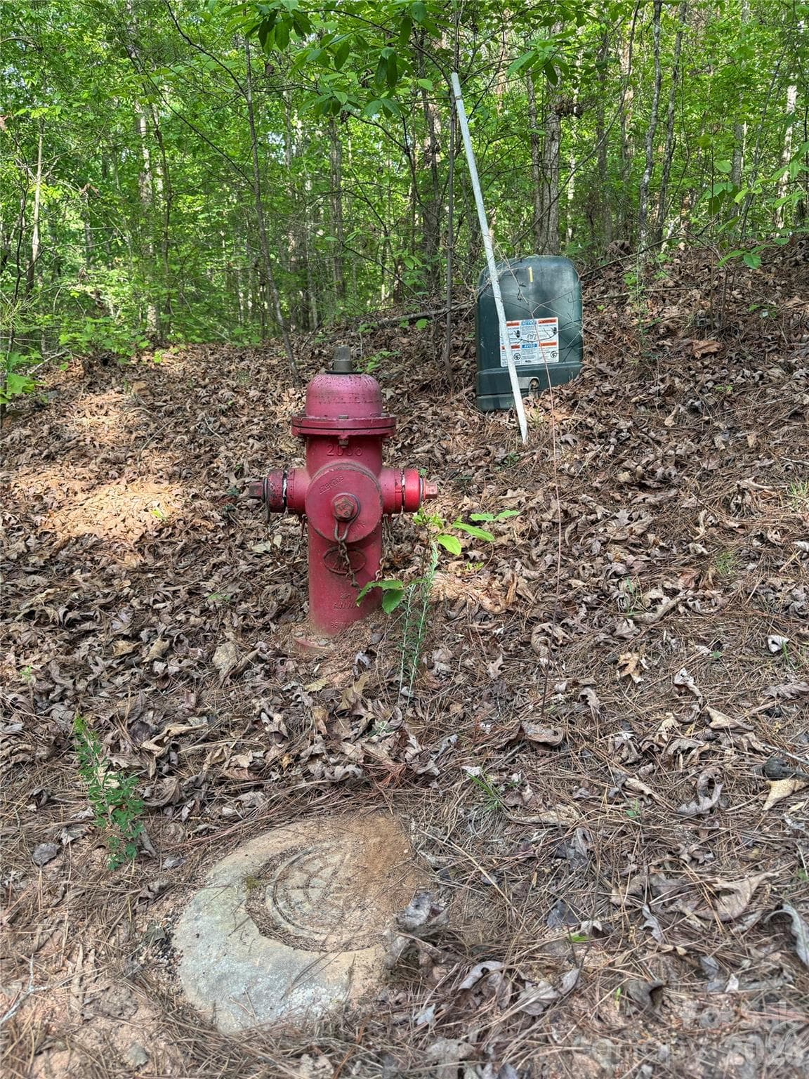 Lot at 0 Shenandoah Drive, Spindale, photo 2 of 11