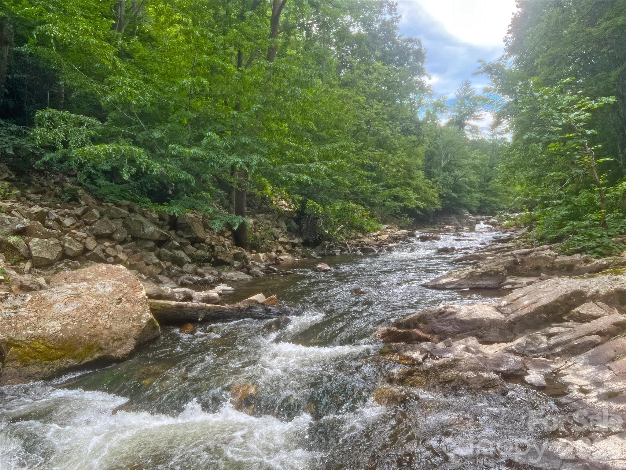Whitewater trout creek! - 257 Henderson Drive, Hot Springs