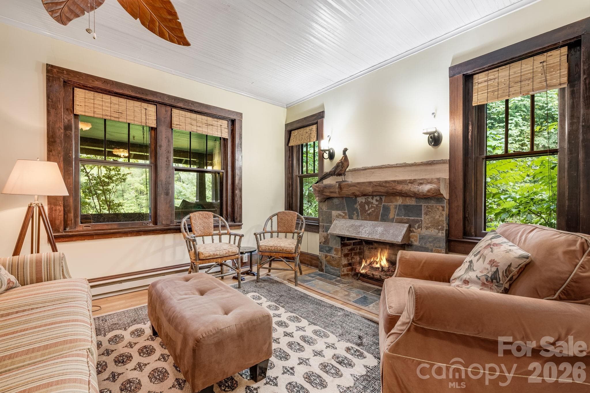Single Family Residence at 257 Henderson Drive, Hot Springs, photo 2 of 48